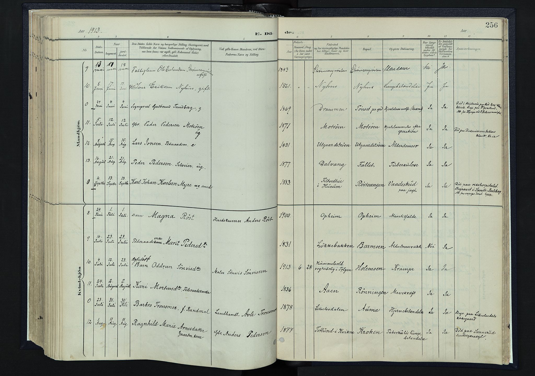 Tynset prestekontor, SAH/PREST-058/H/Ha/Haa/L0025: Parish register (official) no. 25, 1900-1914, p. 256
