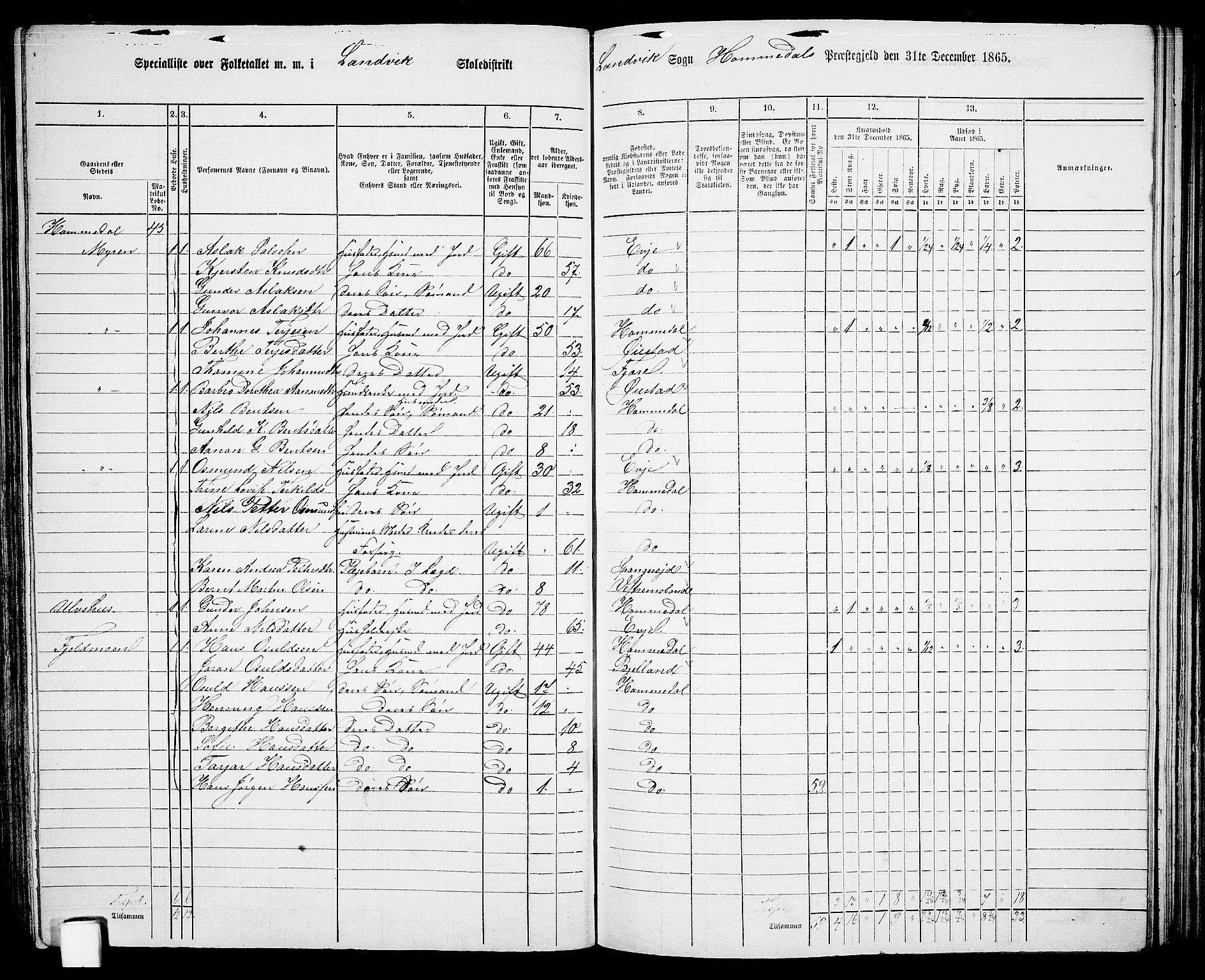 RA, 1865 census for Homedal, 1865, p. 76