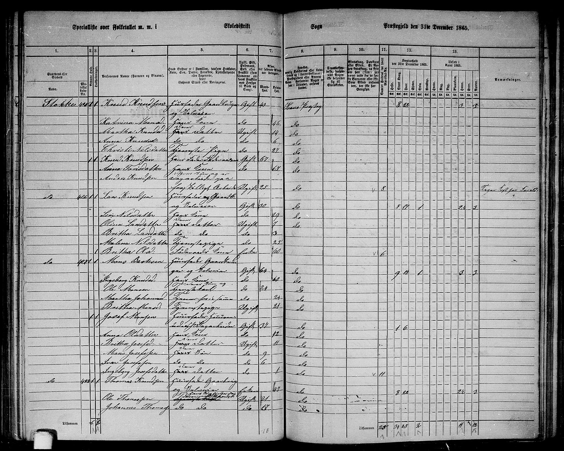 RA, 1865 census for Haus, 1865, p. 168