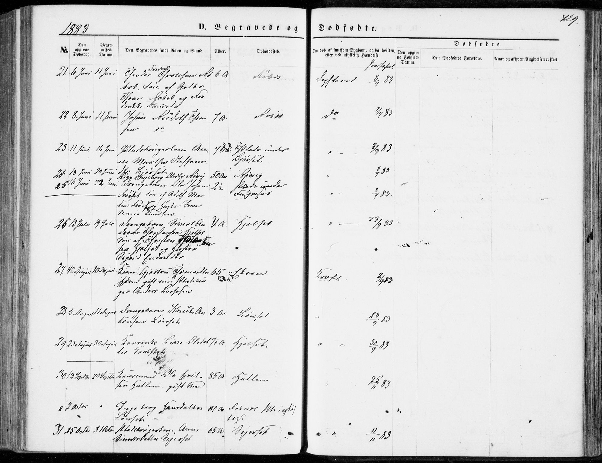 Ministerialprotokoller, klokkerbøker og fødselsregistre - Møre og Romsdal, AV/SAT-A-1454/555/L0655: Parish register (official) no. 555A05, 1869-1886, p. 429