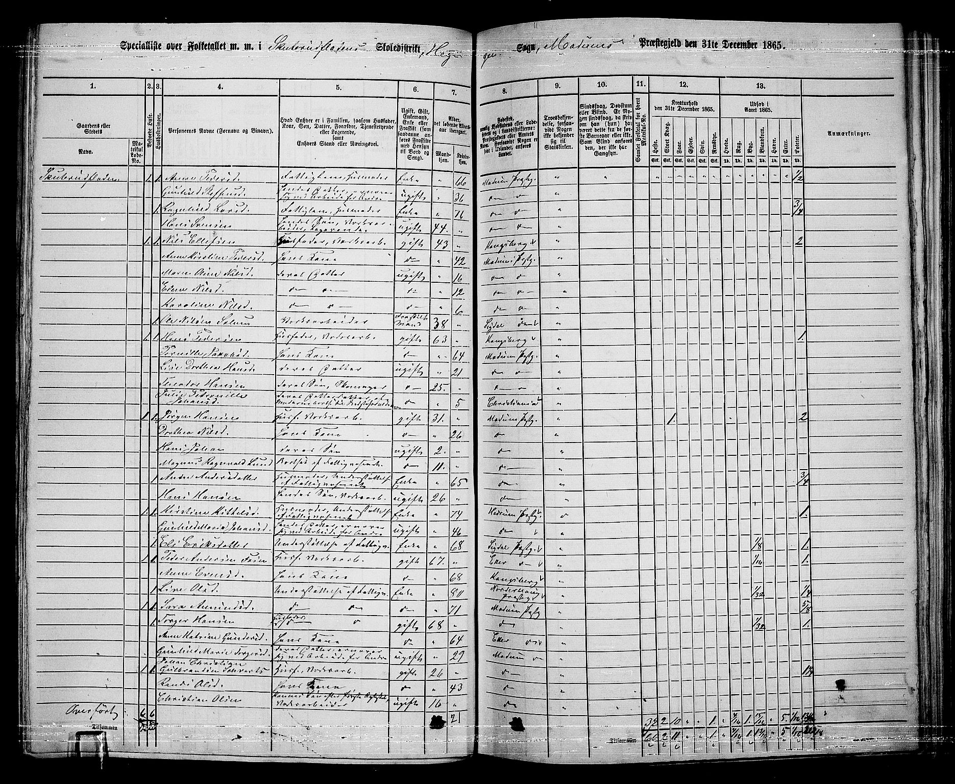 RA, 1865 census for Modum, 1865, p. 217