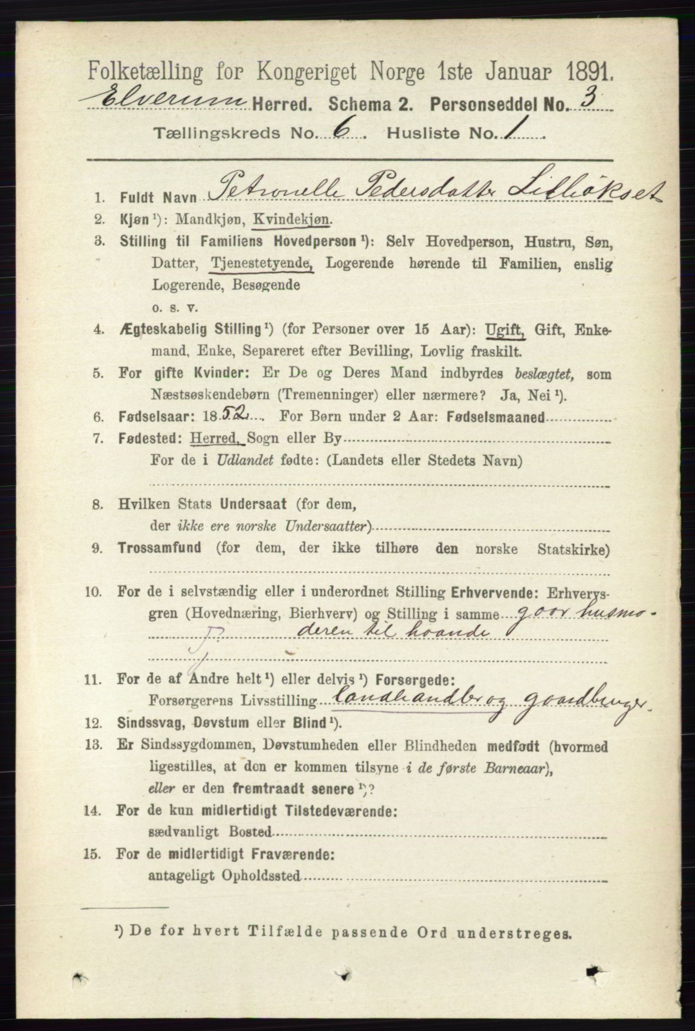 RA, 1891 census for 0427 Elverum, 1891, p. 4357