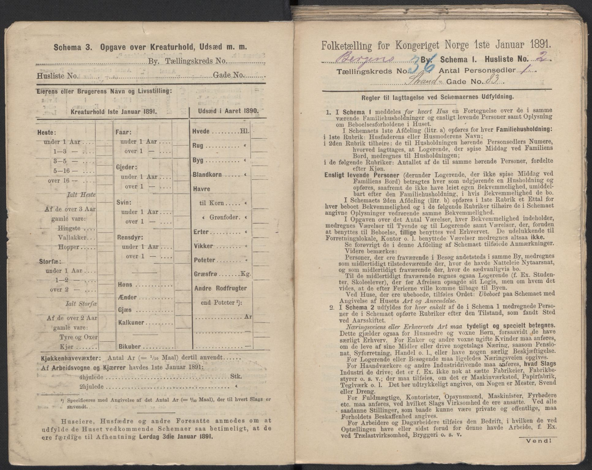 RA, 1891 Census for 1301 Bergen, 1891, p. 5785