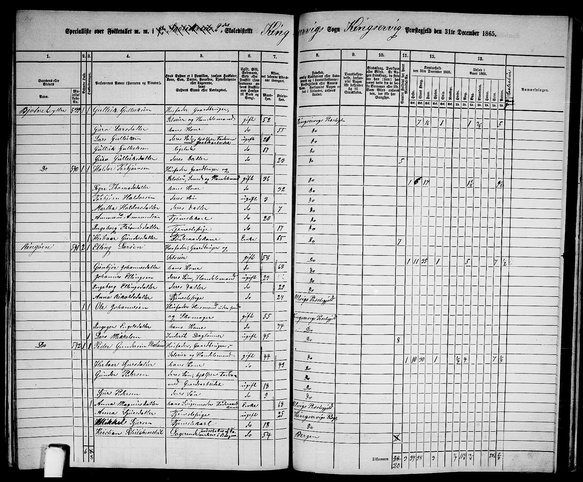 RA, 1865 census for Kinsarvik, 1865, p. 234