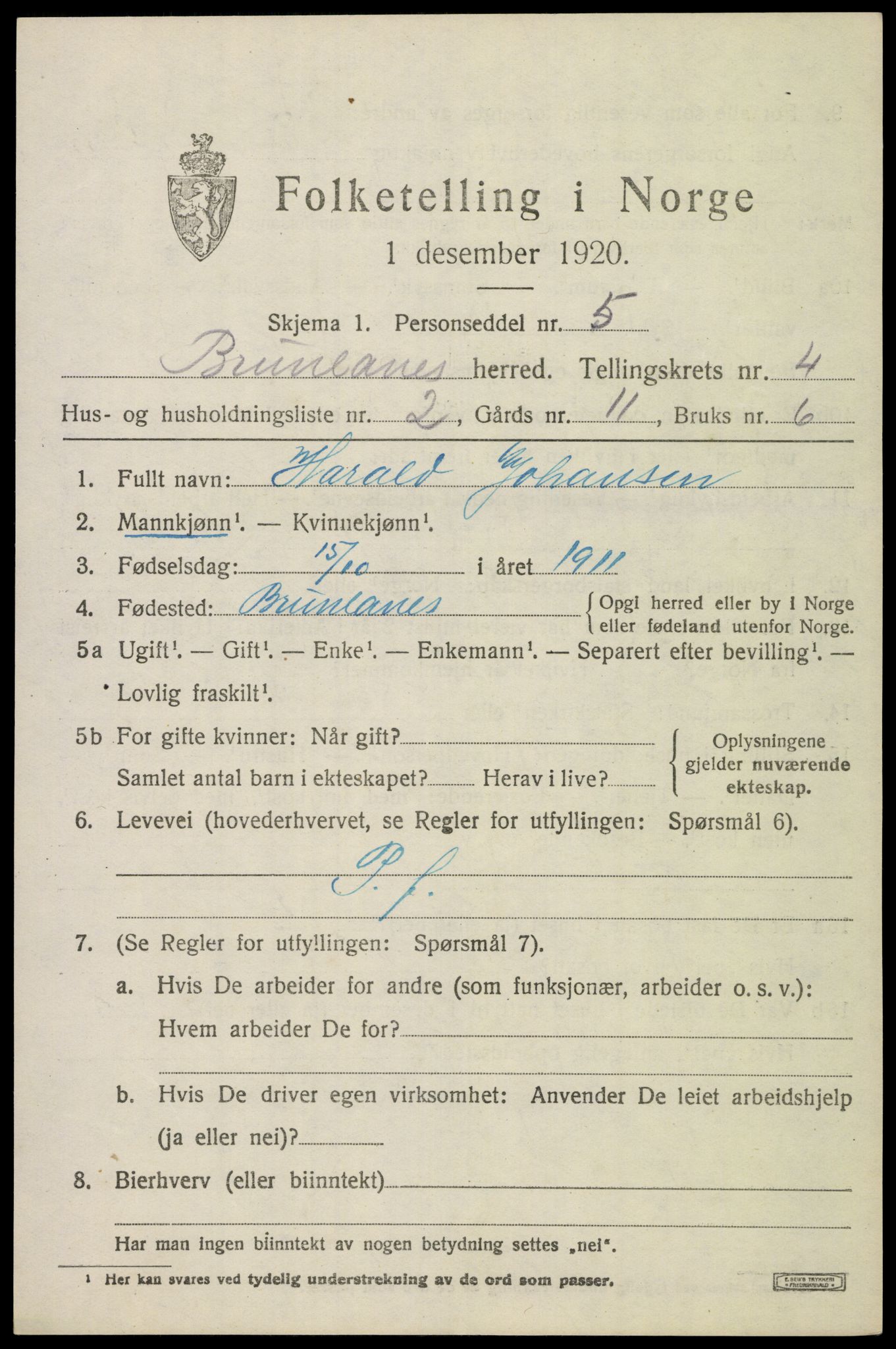 SAKO, 1920 census for Brunlanes, 1920, p. 6133