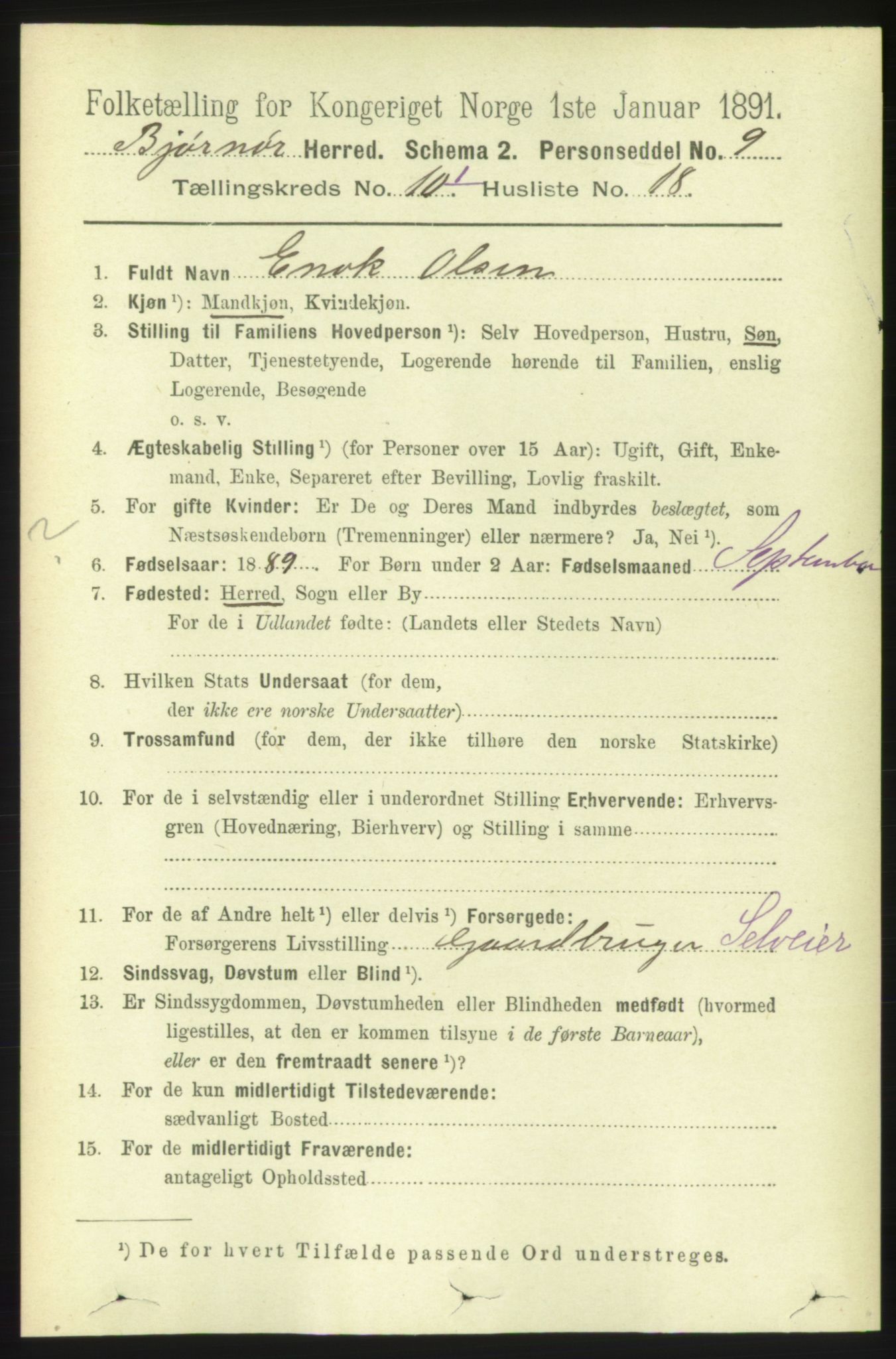 RA, 1891 census for 1632 Bjørnør, 1891, p. 4252