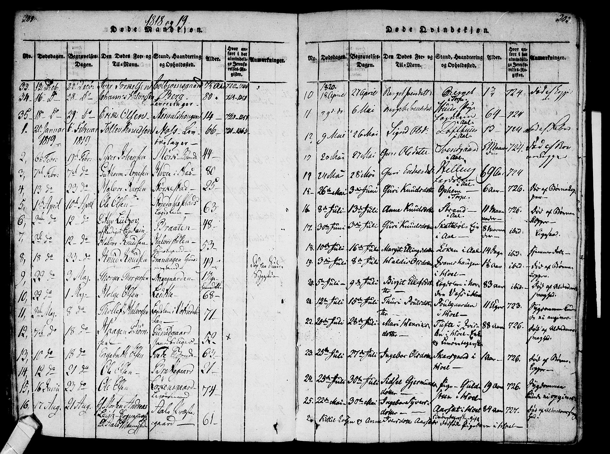 Ål kirkebøker, SAKO/A-249/F/Fa/L0004: Parish register (official) no. I 4, 1815-1825, p. 202-203