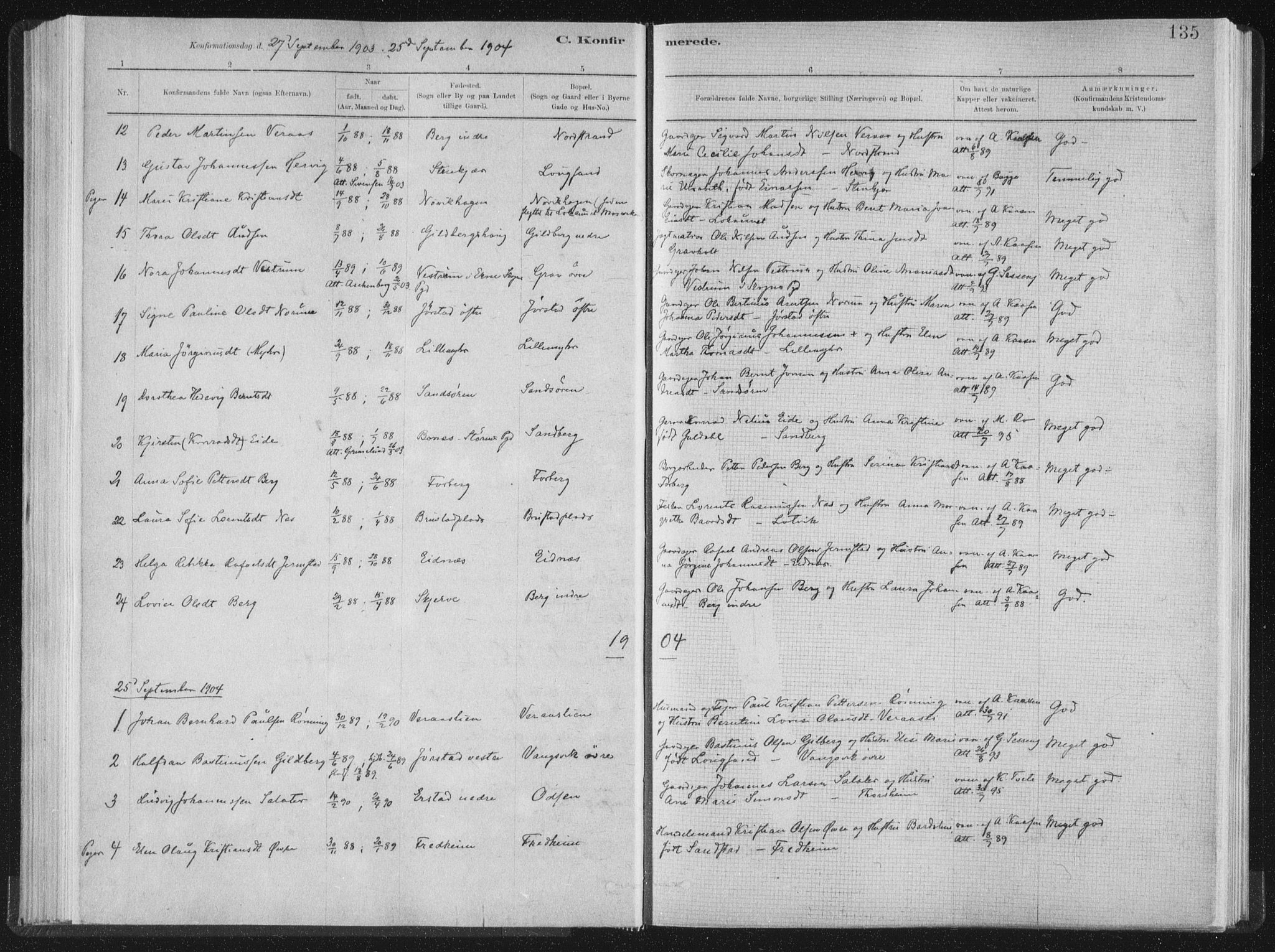 Ministerialprotokoller, klokkerbøker og fødselsregistre - Nord-Trøndelag, AV/SAT-A-1458/722/L0220: Parish register (official) no. 722A07, 1881-1908, p. 135