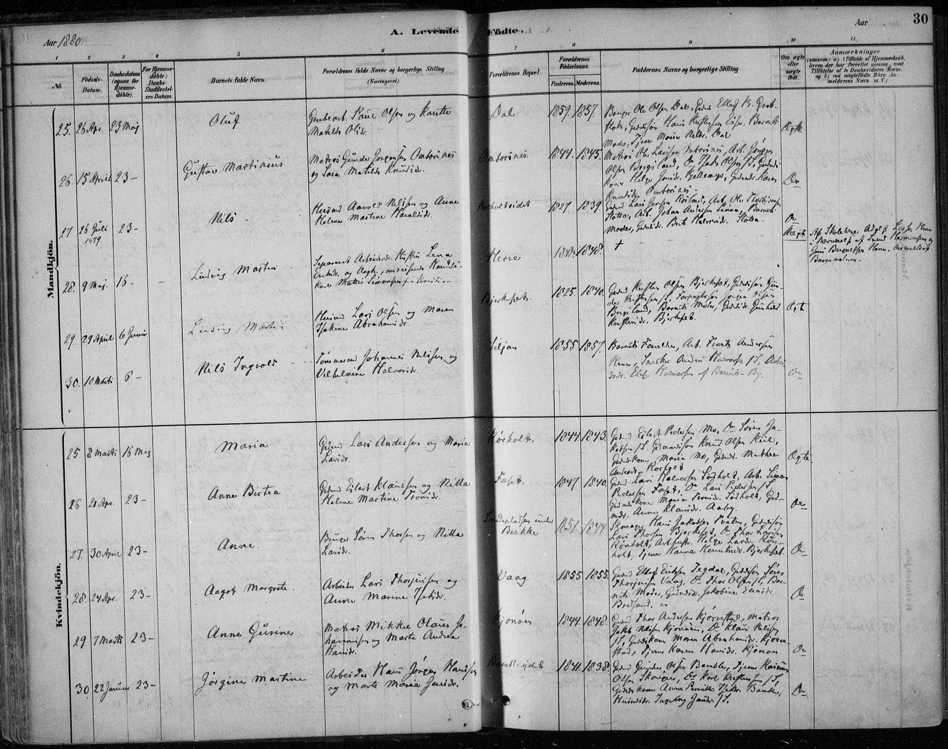 Bamble kirkebøker, SAKO/A-253/F/Fa/L0007: Parish register (official) no. I 7, 1878-1888, p. 30