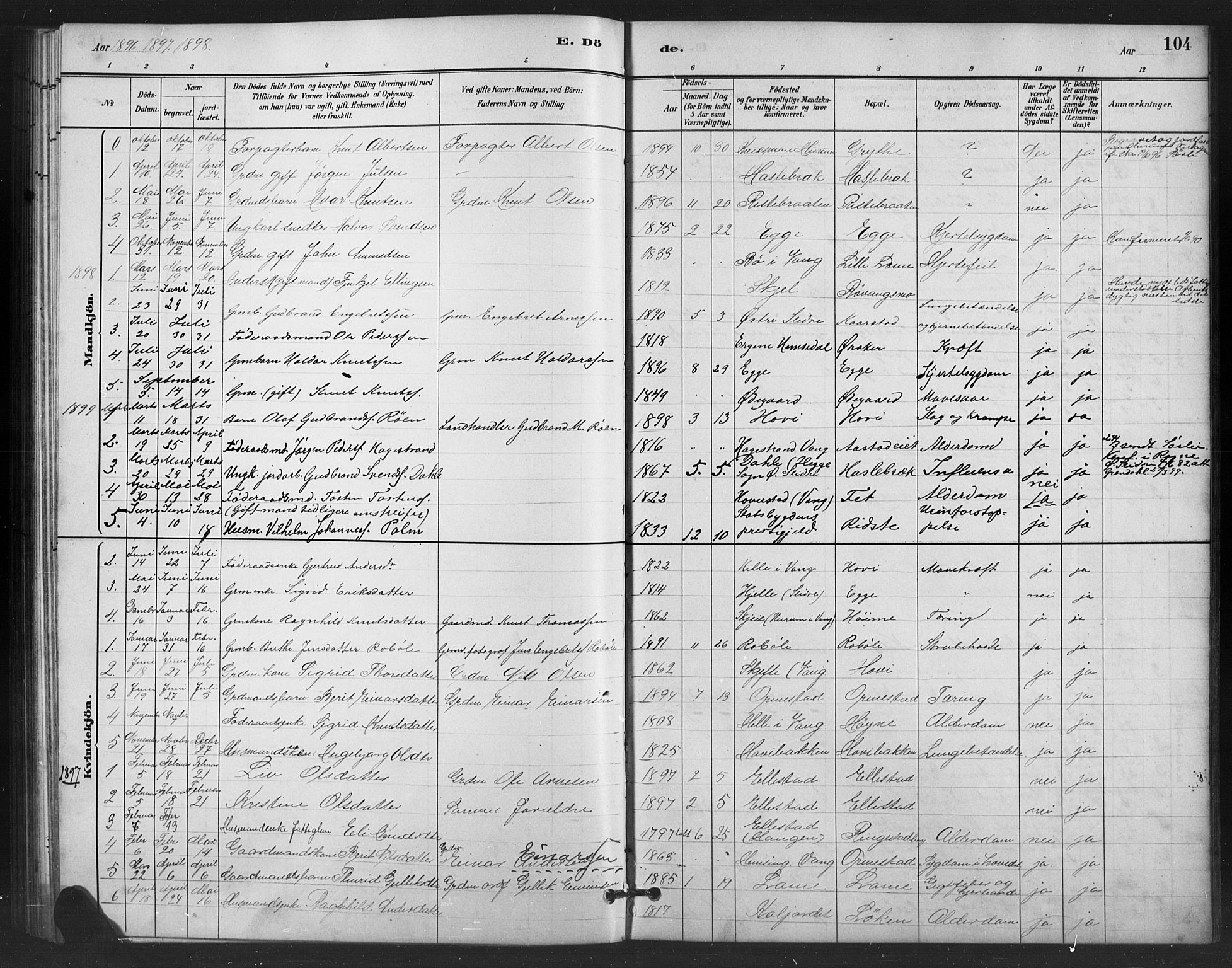 Vestre Slidre prestekontor, SAH/PREST-136/H/Ha/Hab/L0006: Parish register (copy) no. 6, 1881-1915, p. 104