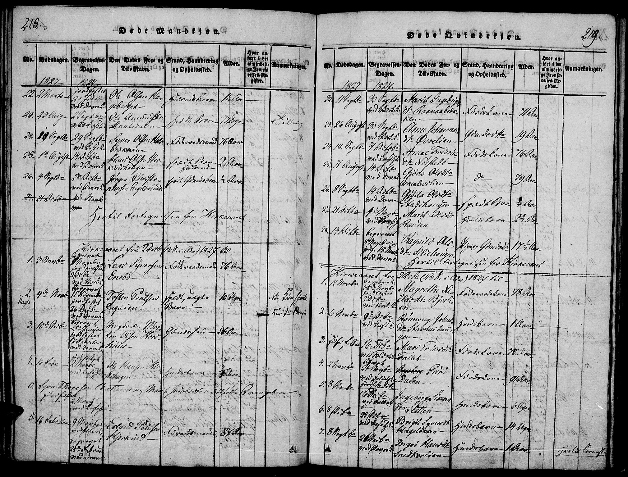 Lesja prestekontor, SAH/PREST-068/H/Ha/Haa/L0004: Parish register (official) no. 4, 1820-1829, p. 218-219