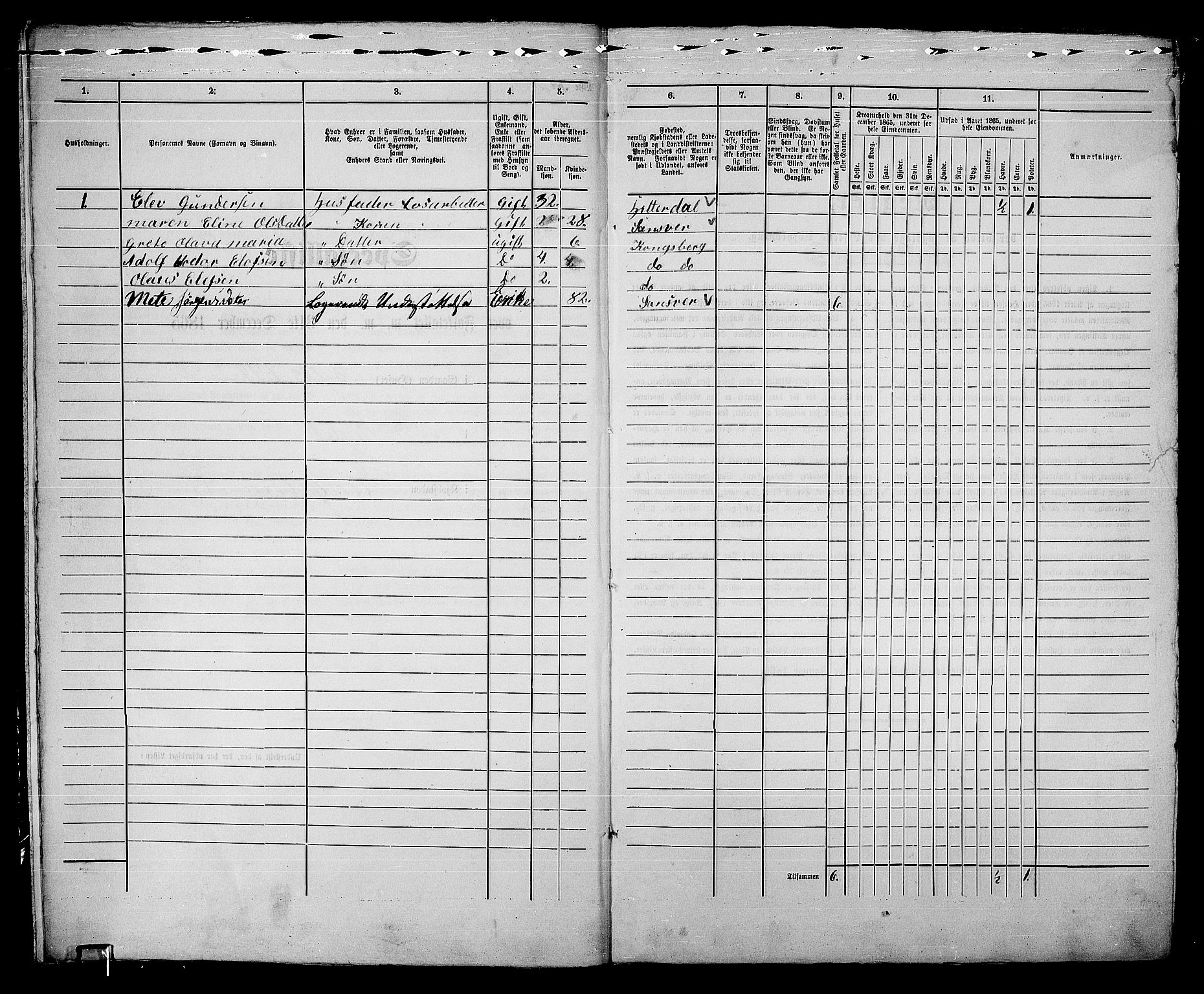 RA, 1865 census for Kongsberg/Kongsberg, 1865, p. 519