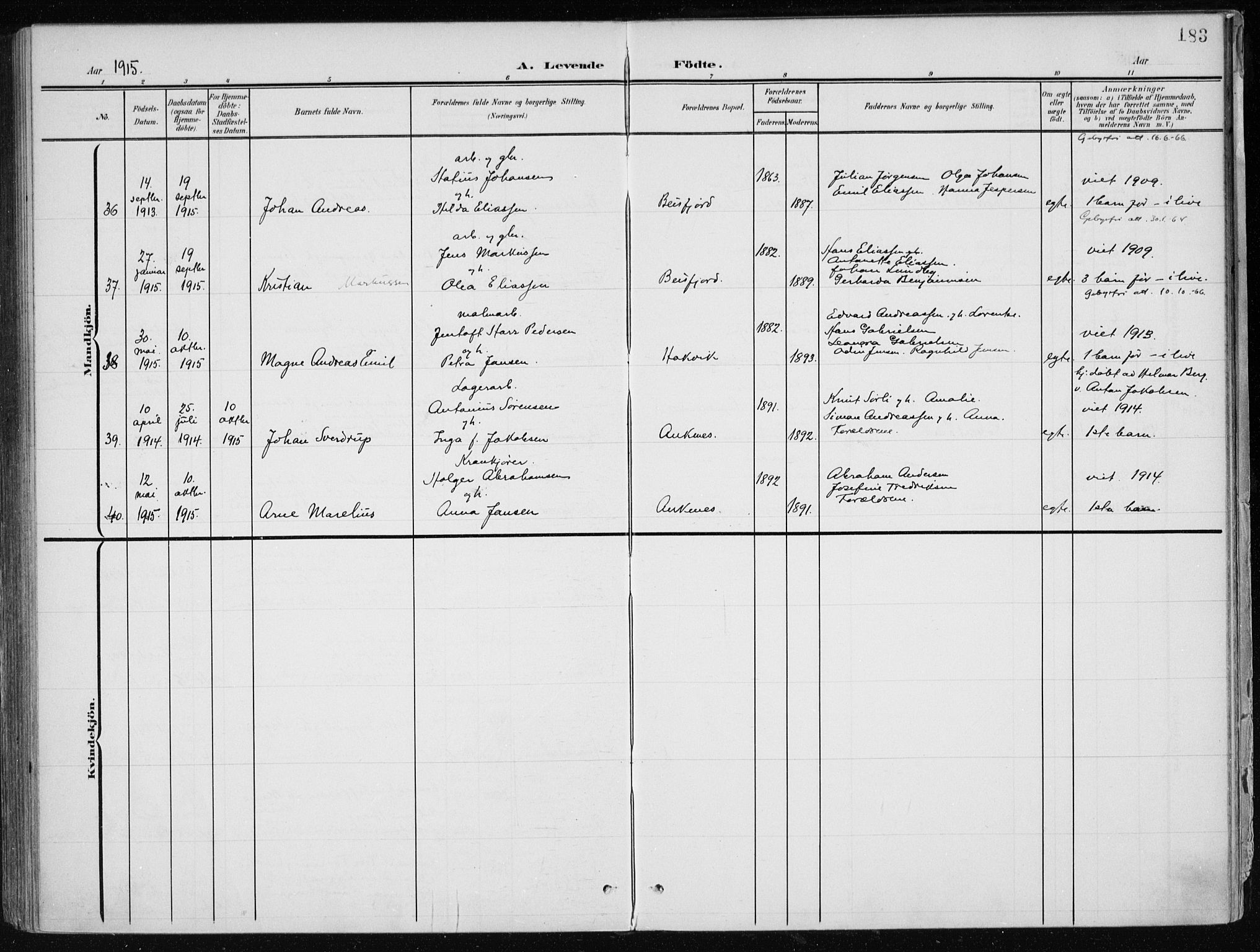 Ministerialprotokoller, klokkerbøker og fødselsregistre - Nordland, AV/SAT-A-1459/866/L0941: Parish register (official) no. 866A04, 1901-1917, p. 183