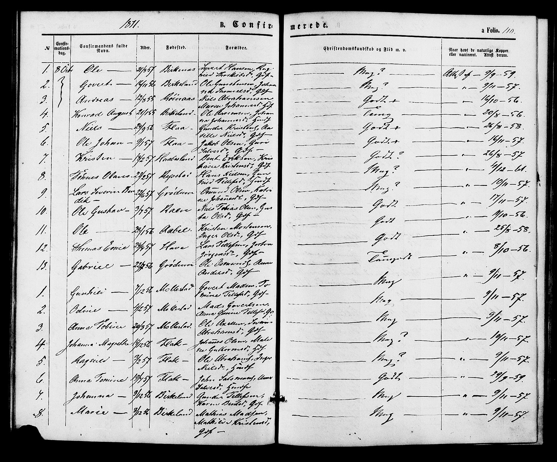 Birkenes sokneprestkontor, SAK/1111-0004/F/Fa/L0004: Parish register (official) no. A 4, 1867-1886, p. 110