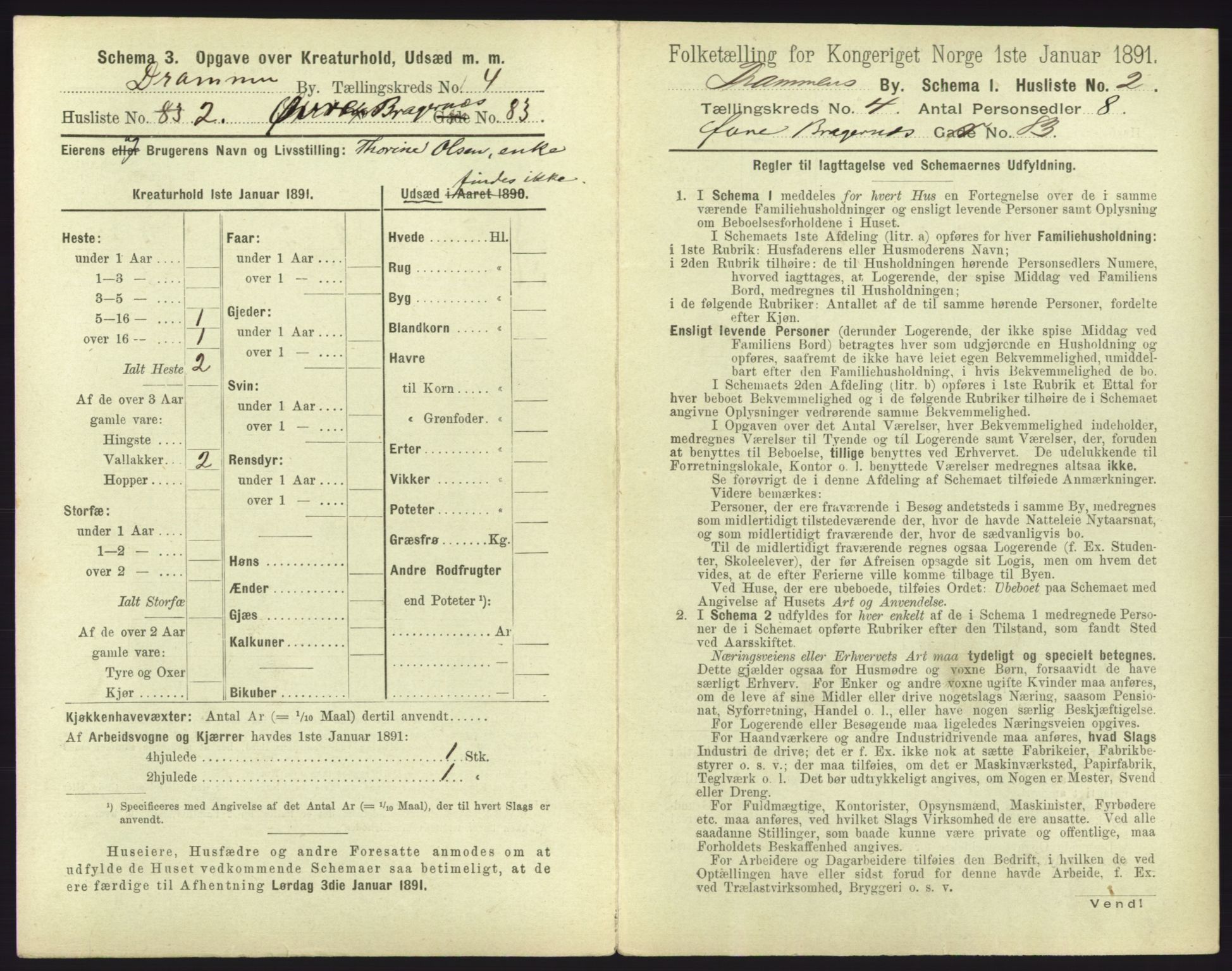 RA, 1891 census for 0602 Drammen, 1891, p. 371