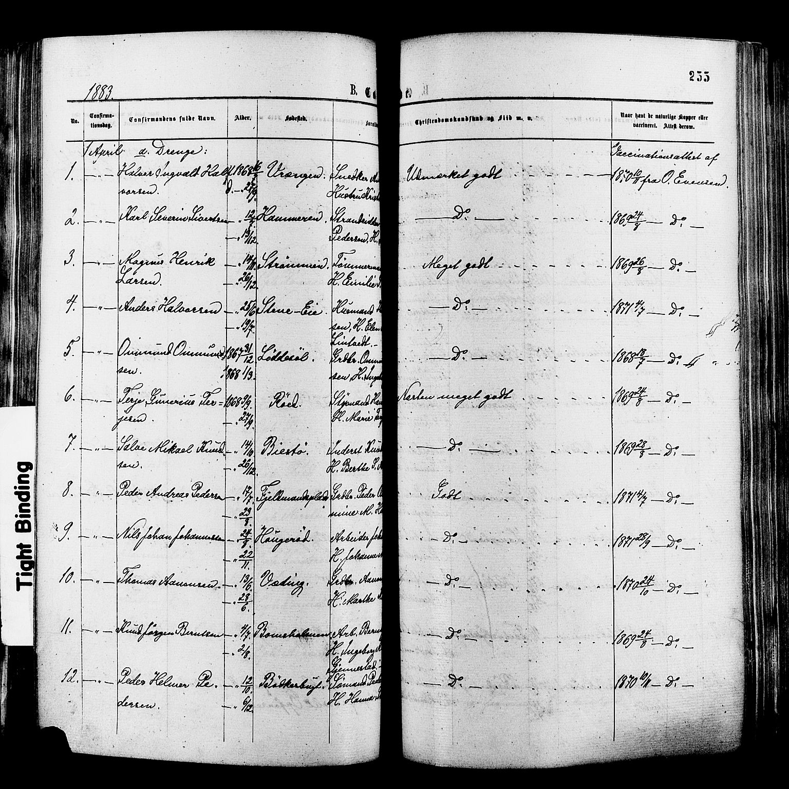 Øyestad sokneprestkontor, SAK/1111-0049/F/Fa/L0016: Parish register (official) no. A 16, 1874-1886, p. 255