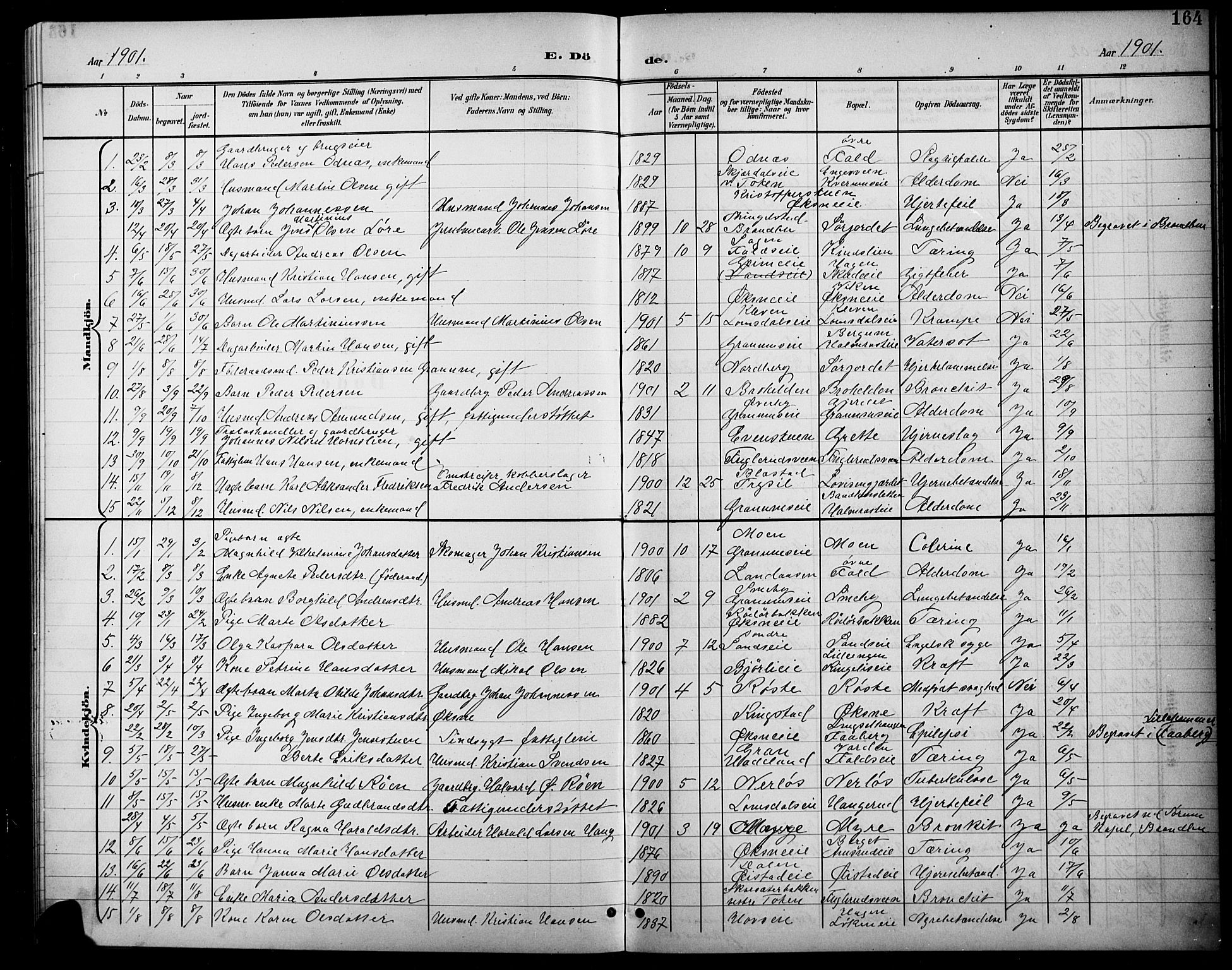 Søndre Land prestekontor, SAH/PREST-122/L/L0004: Parish register (copy) no. 4, 1901-1915, p. 164