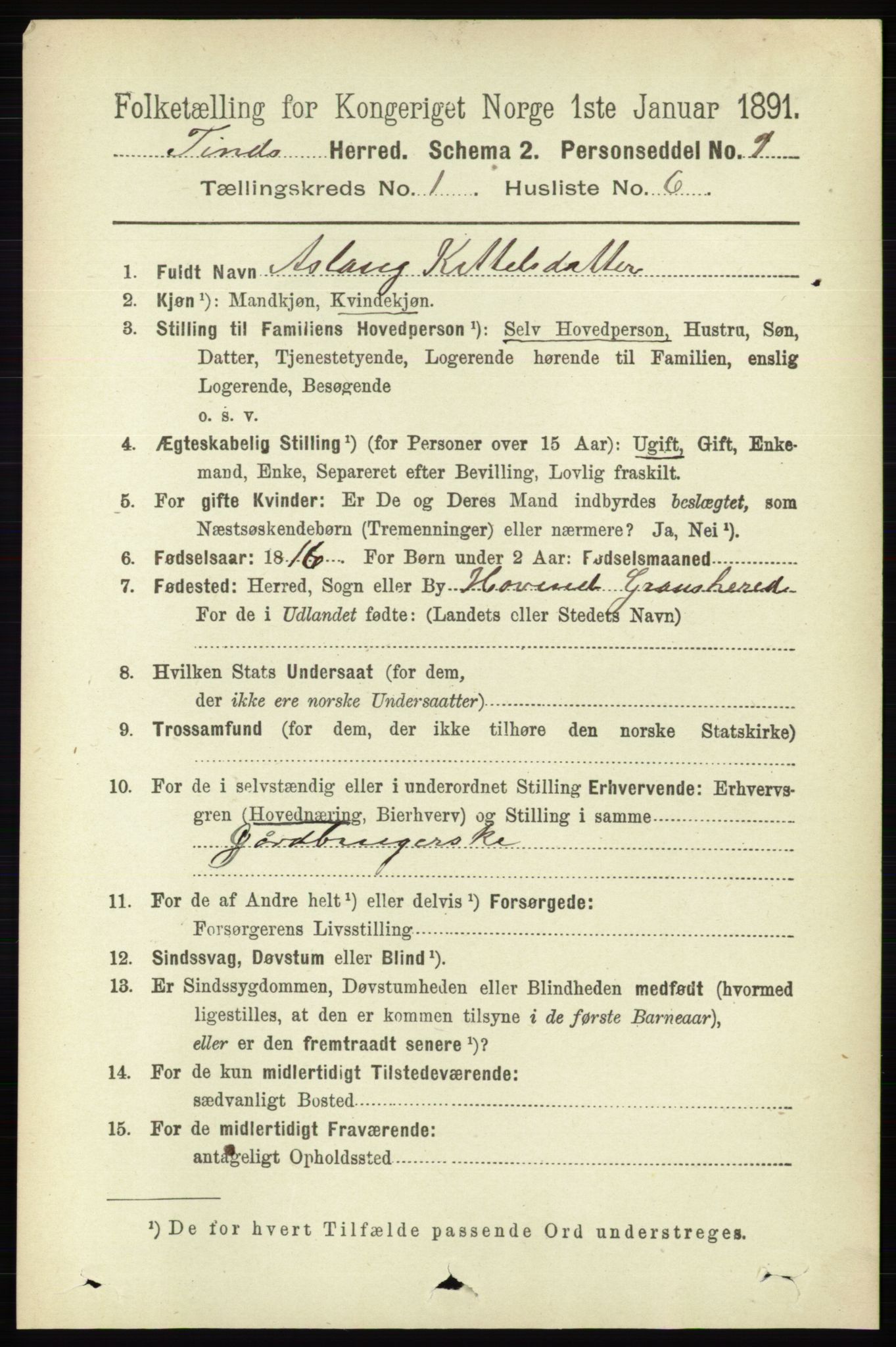 RA, 1891 census for 0826 Tinn, 1891, p. 79