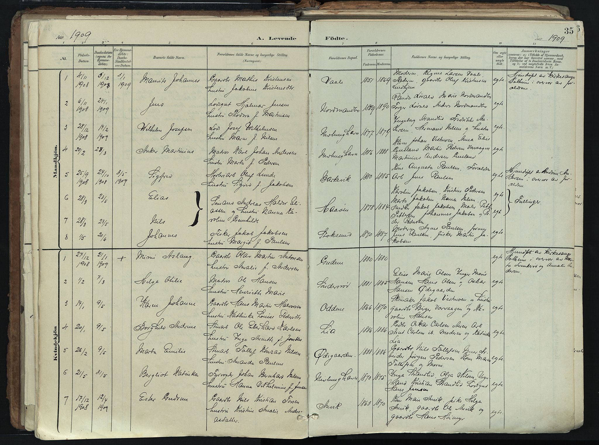 Brunlanes kirkebøker, SAKO/A-342/F/Fb/L0003: Parish register (official) no. II 3, 1900-1922, p. 35