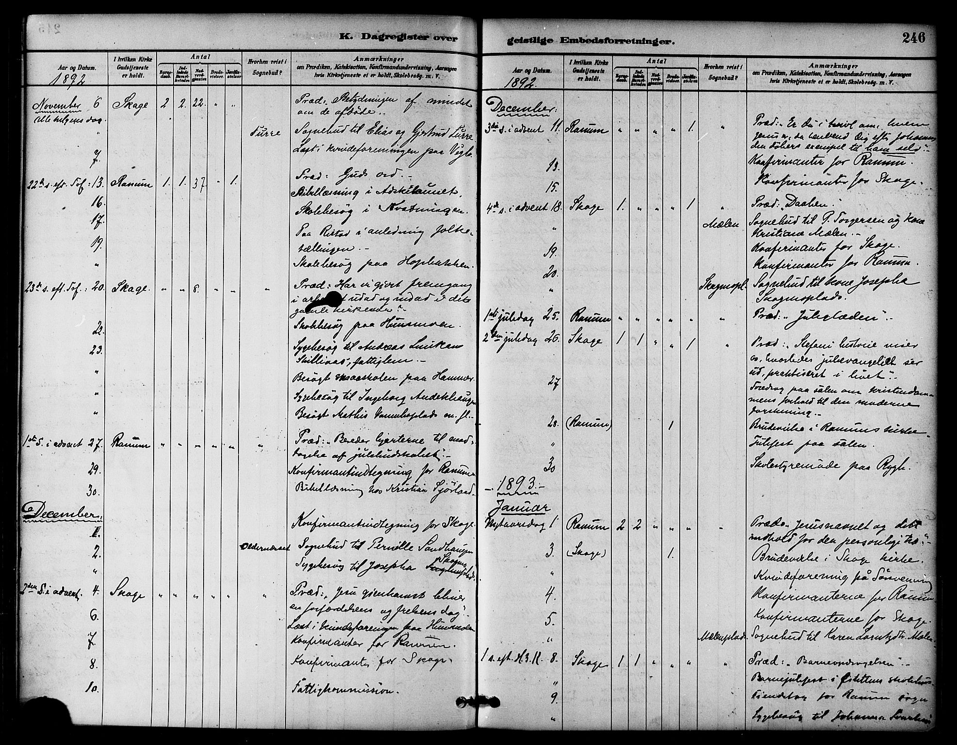 Ministerialprotokoller, klokkerbøker og fødselsregistre - Nord-Trøndelag, SAT/A-1458/764/L0555: Parish register (official) no. 764A10, 1881-1896, p. 246