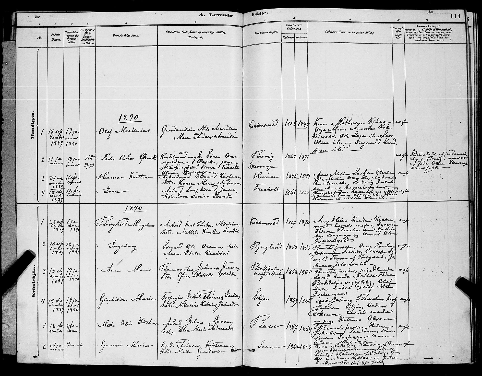 Eidanger kirkebøker, SAKO/A-261/G/Ga/L0002: Parish register (copy) no. 2, 1879-1892, p. 114