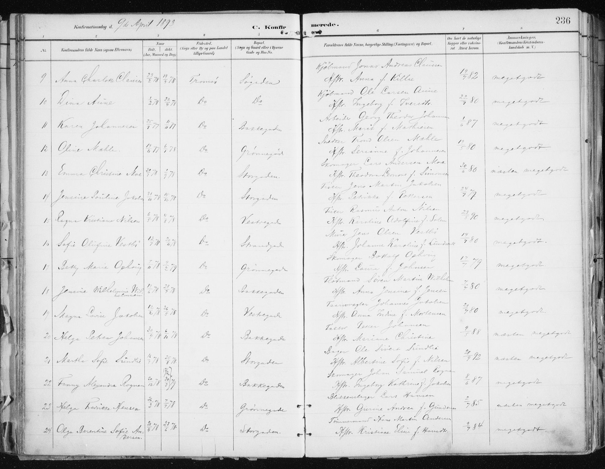 Tromsø sokneprestkontor/stiftsprosti/domprosti, AV/SATØ-S-1343/G/Ga/L0015kirke: Parish register (official) no. 15, 1889-1899, p. 236