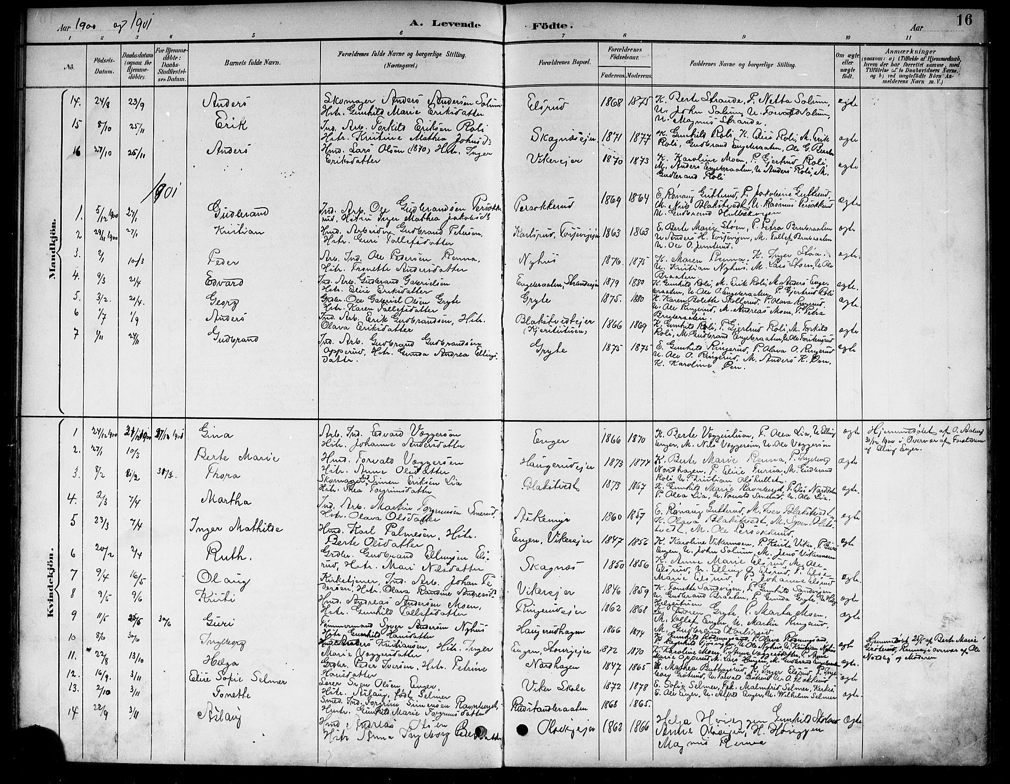 Ådal kirkebøker, SAKO/A-248/G/Ga/L0004: Parish register (copy) no.  I 4, 1891-1920, p. 16