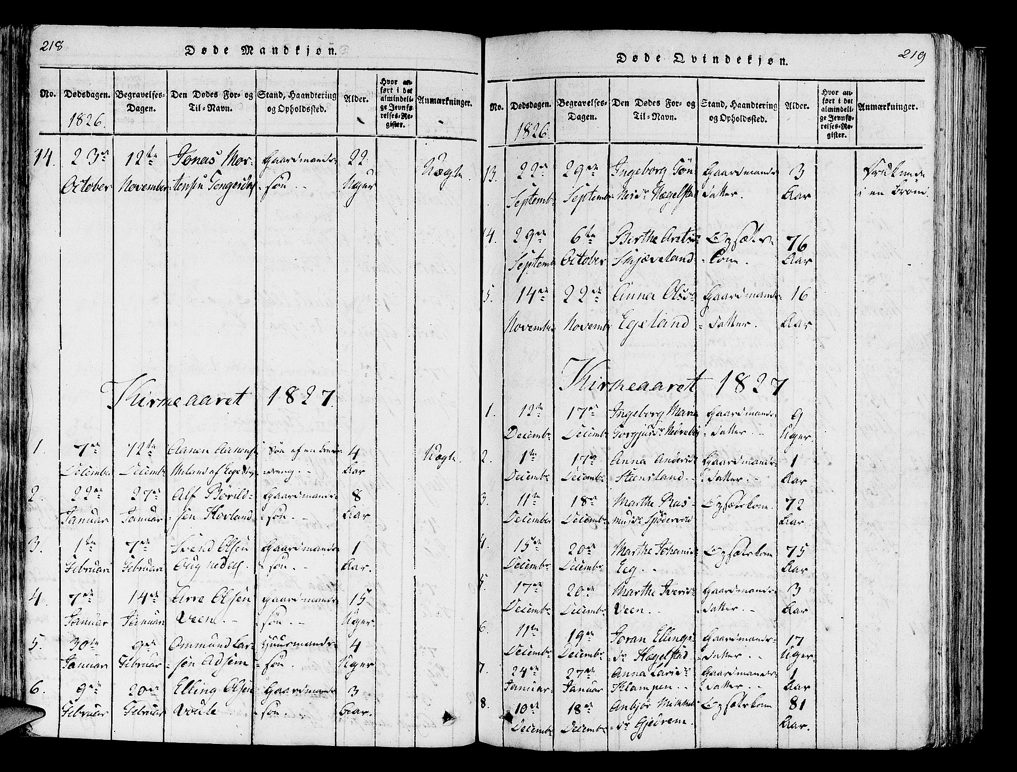 Helleland sokneprestkontor, SAST/A-101810: Parish register (official) no. A 5, 1815-1834, p. 218-219