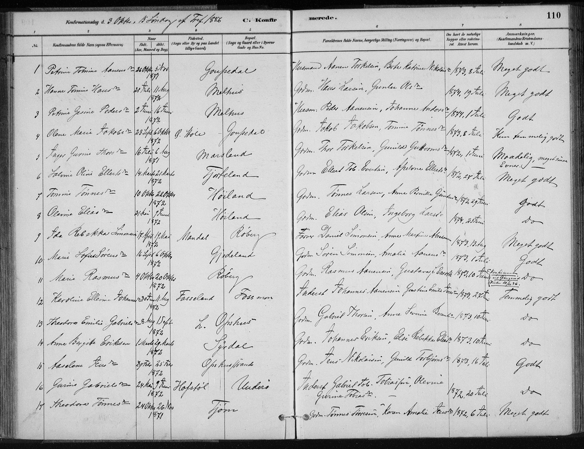 Sør-Audnedal sokneprestkontor, AV/SAK-1111-0039/F/Fa/Fab/L0009: Parish register (official) no. A 9, 1880-1895, p. 110