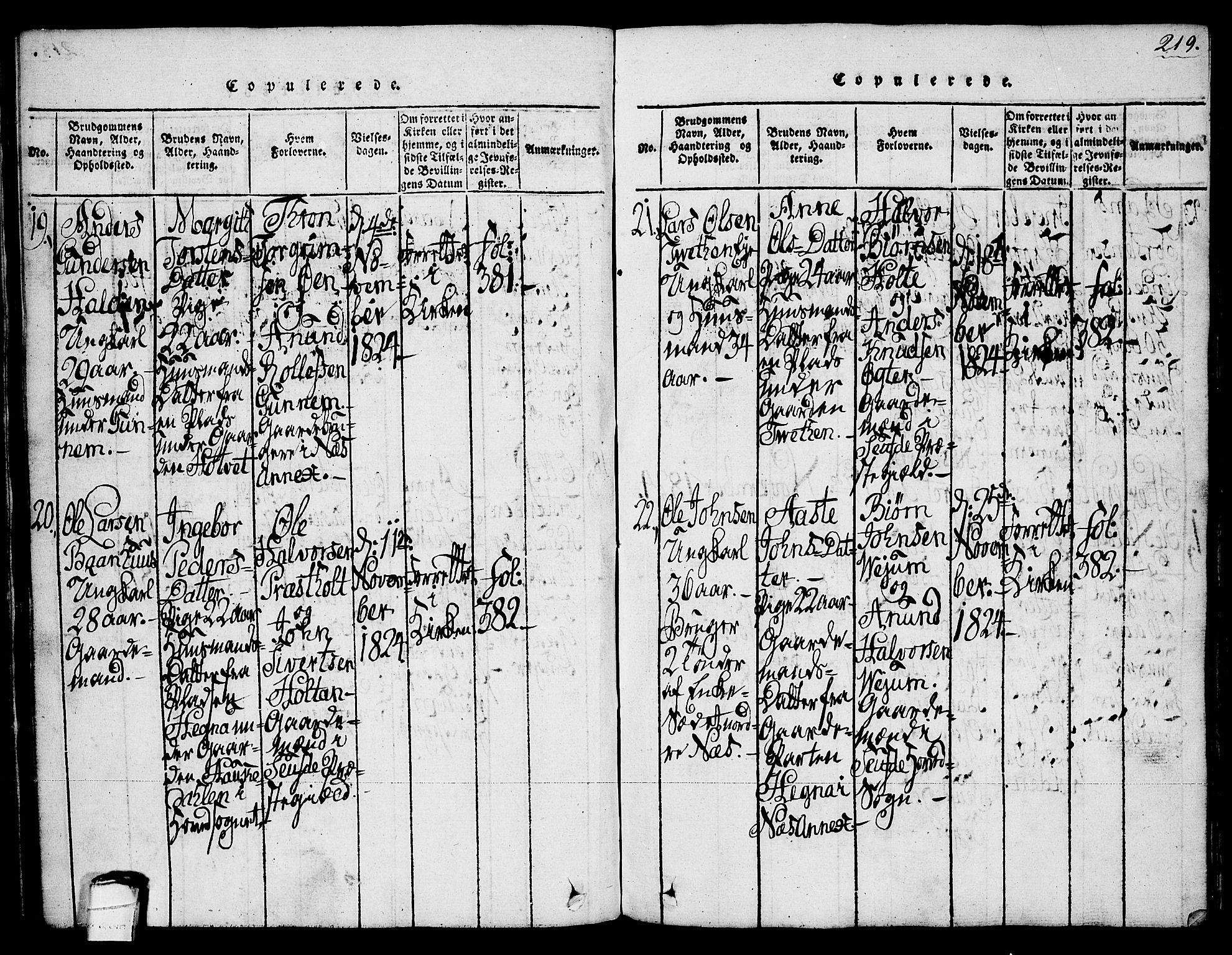 Sauherad kirkebøker, AV/SAKO-A-298/G/Ga/L0001: Parish register (copy) no. I 1, 1815-1827, p. 219