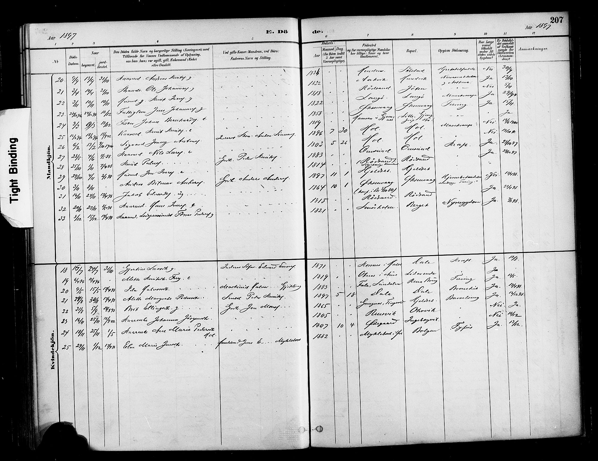 Ministerialprotokoller, klokkerbøker og fødselsregistre - Møre og Romsdal, AV/SAT-A-1454/569/L0819: Parish register (official) no. 569A05, 1885-1899, p. 207