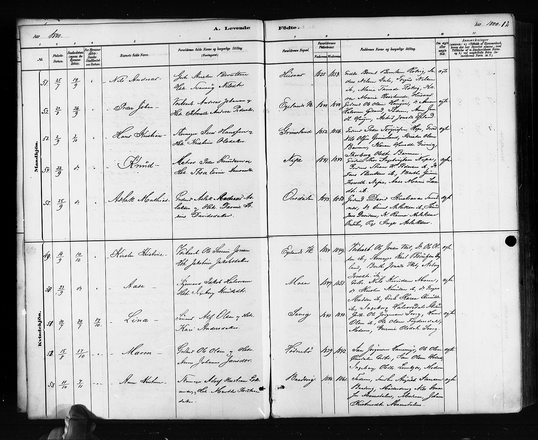 Søndeled sokneprestkontor, SAK/1111-0038/F/Fa/L0004: Parish register (official) no. A 4, 1880-1889, p. 12