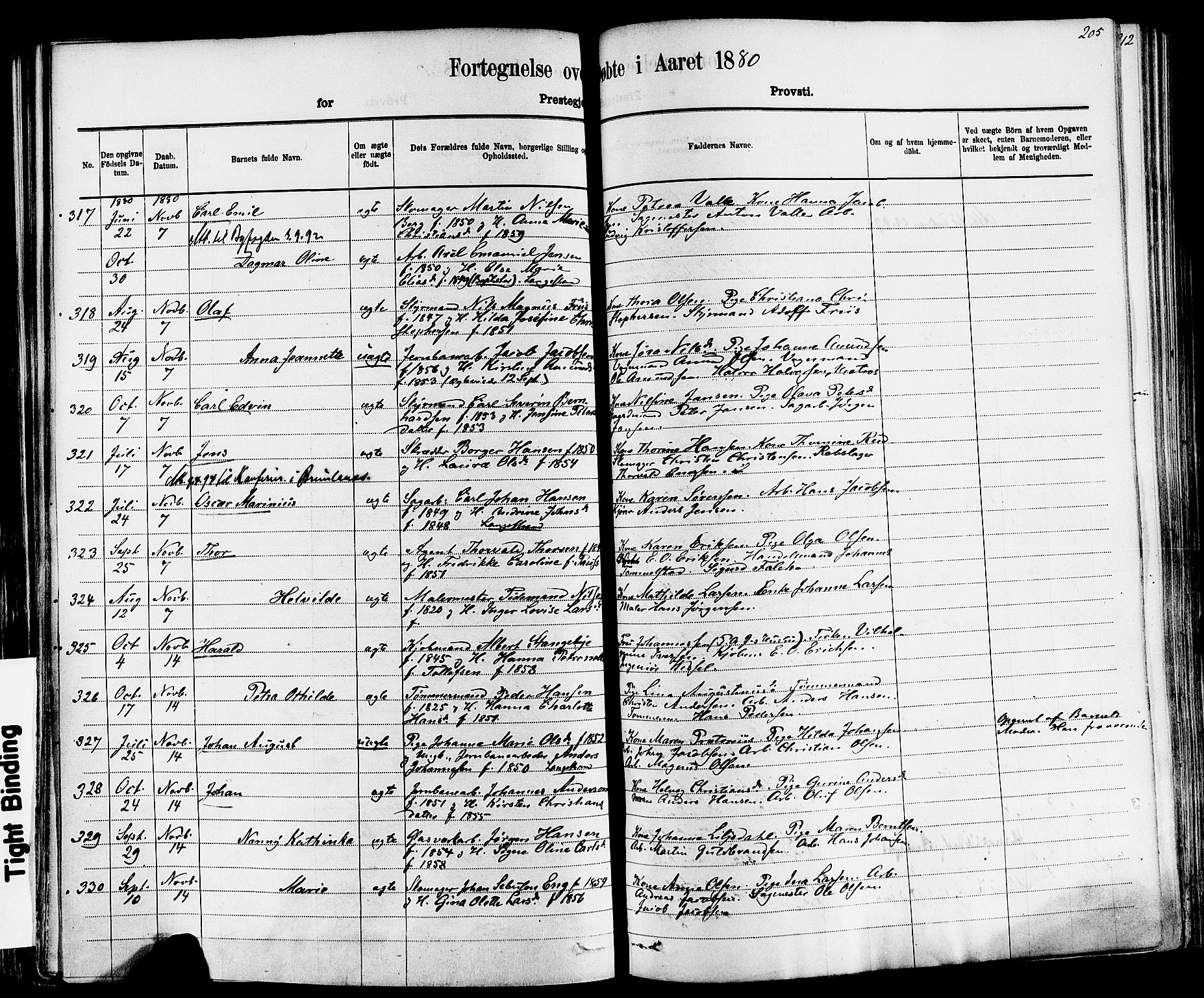 Larvik kirkebøker, AV/SAKO-A-352/F/Fa/L0006: Parish register (official) no. I 6, 1871-1883, p. 205