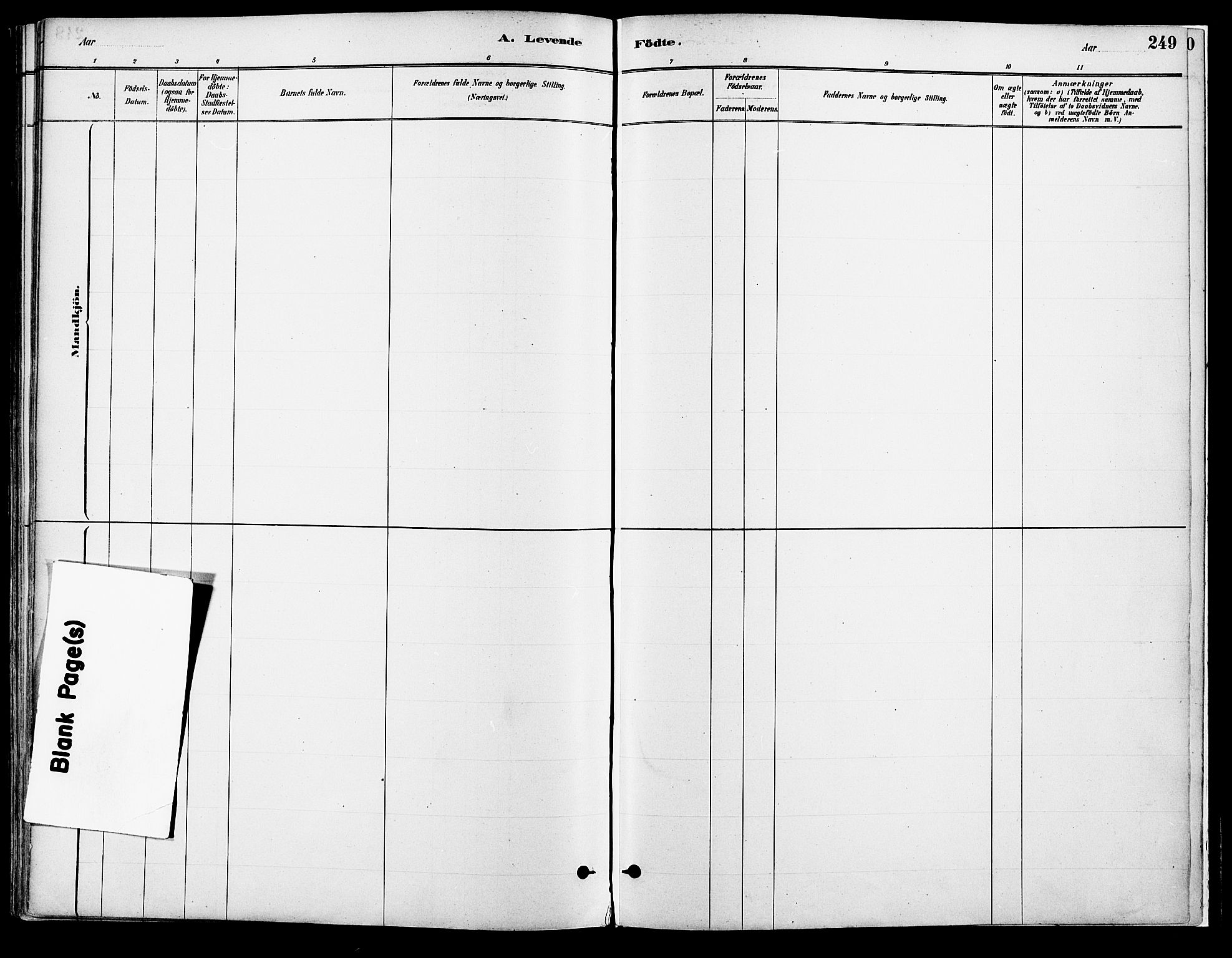 Vang prestekontor, Hedmark, SAH/PREST-008/H/Ha/Haa/L0018A: Parish register (official) no. 18A, 1880-1906, p. 249
