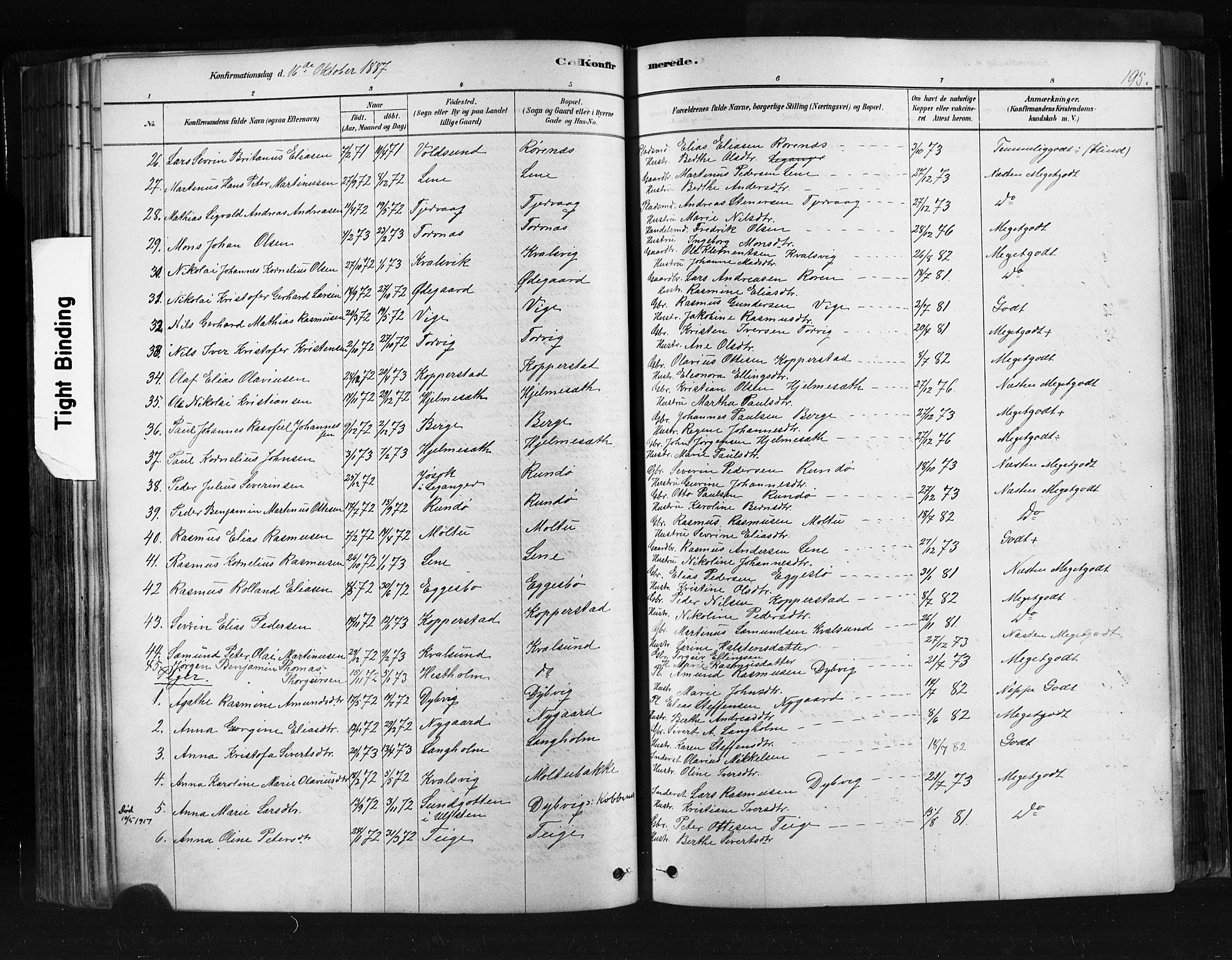 Ministerialprotokoller, klokkerbøker og fødselsregistre - Møre og Romsdal, AV/SAT-A-1454/507/L0073: Parish register (official) no. 507A08, 1878-1904, p. 195