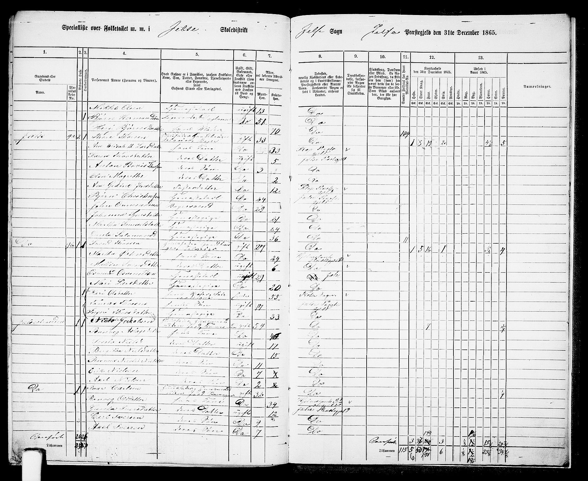 RA, 1865 census for Jelsa, 1865, p. 116