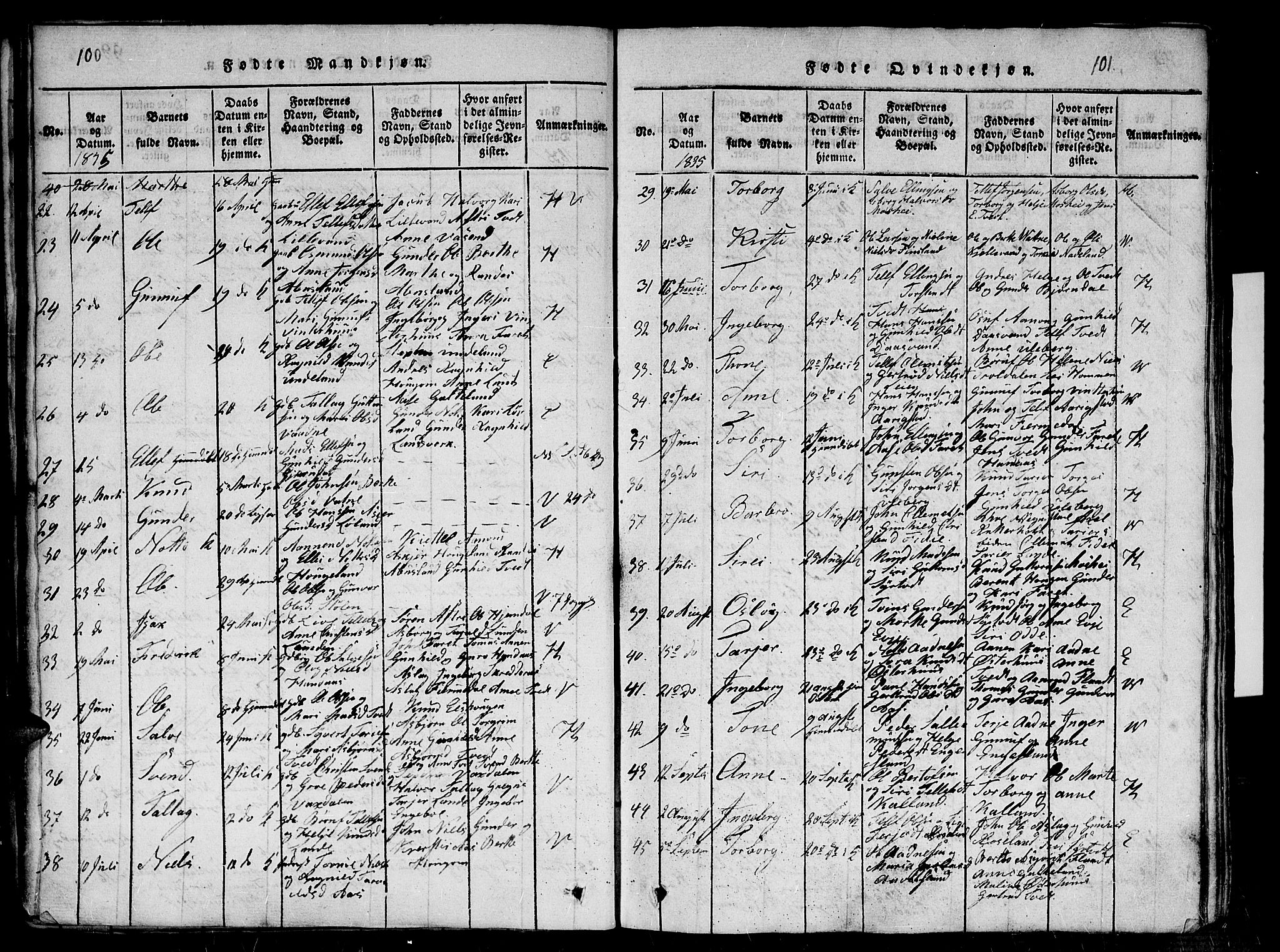 Evje sokneprestkontor, AV/SAK-1111-0008/F/Fb/Fba/L0001: Parish register (copy) no. B 1, 1816-1842, p. 100-101