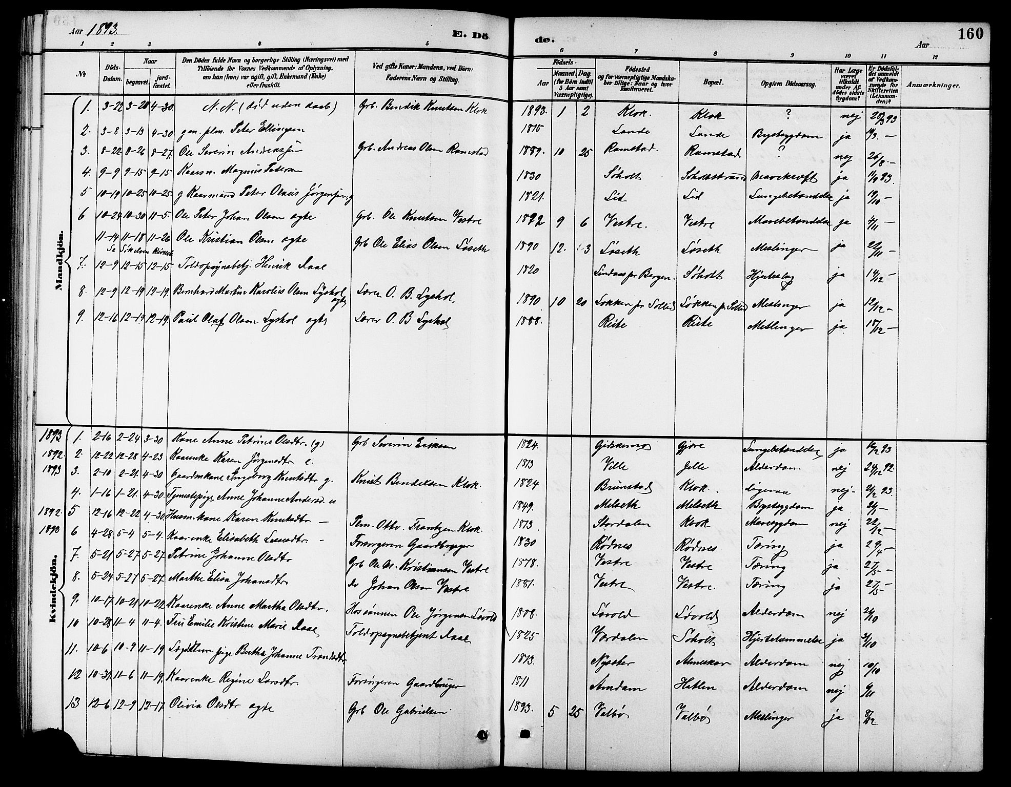 Ministerialprotokoller, klokkerbøker og fødselsregistre - Møre og Romsdal, AV/SAT-A-1454/522/L0327: Parish register (copy) no. 522C06, 1890-1915, p. 160