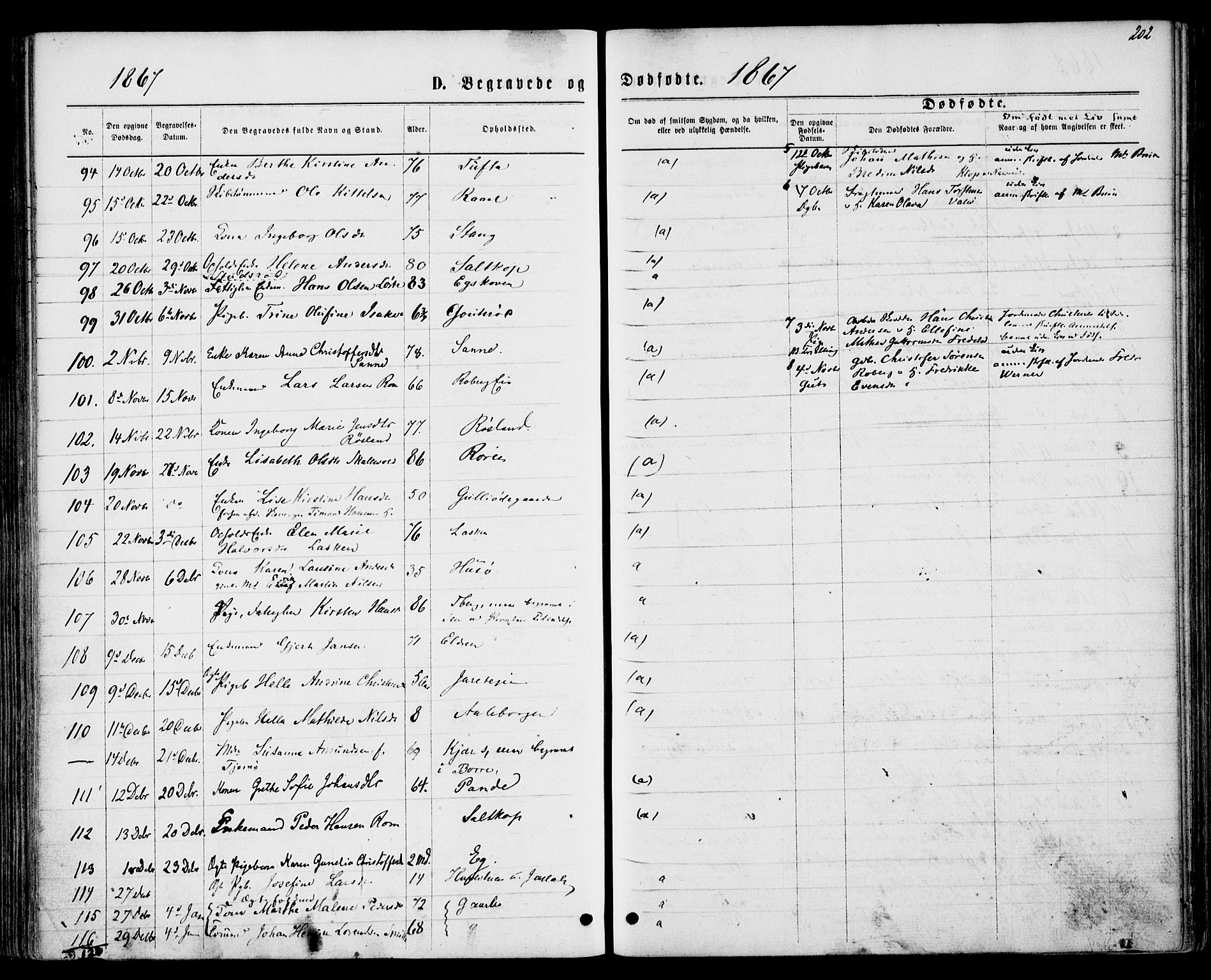 Sem kirkebøker, SAKO/A-5/F/Fa/L0008: Parish register (official) no. I 8, 1866-1873, p. 202
