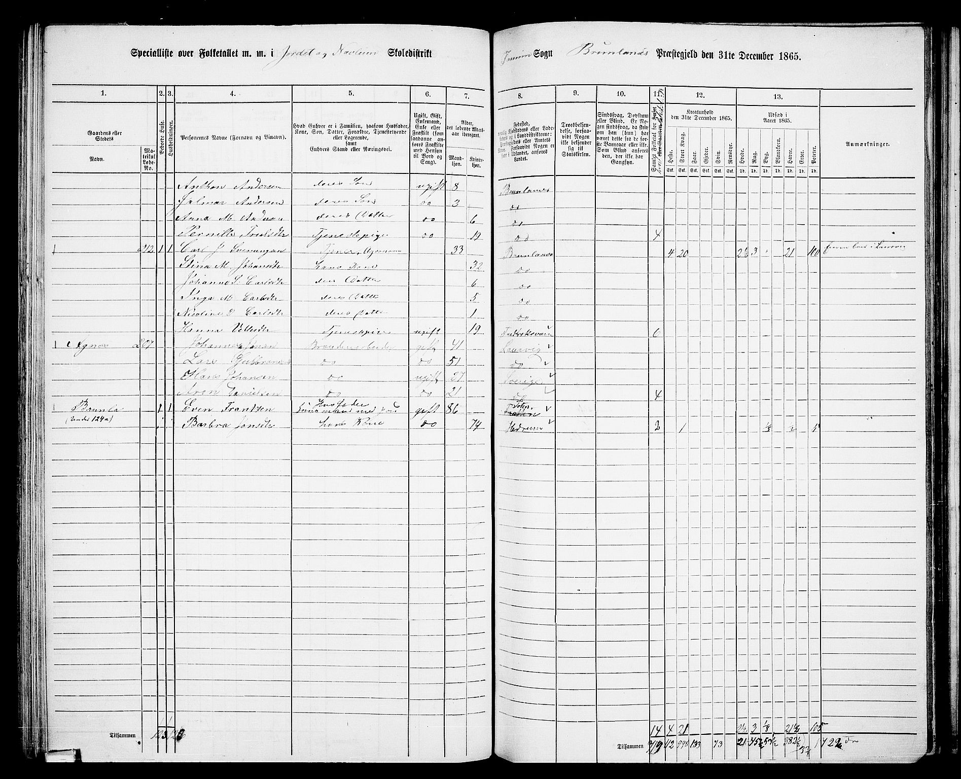 RA, 1865 census for Brunlanes, 1865, p. 93