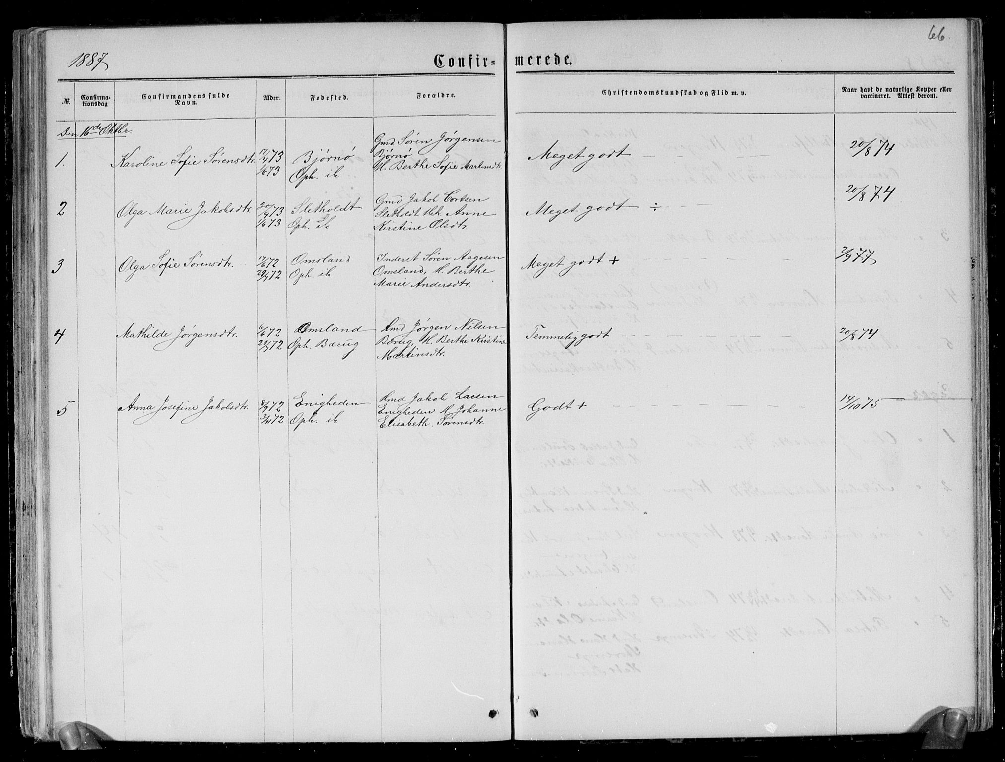 Brunlanes kirkebøker, AV/SAKO-A-342/G/Gc/L0001: Parish register (copy) no. III 1, 1866-1890, p. 66