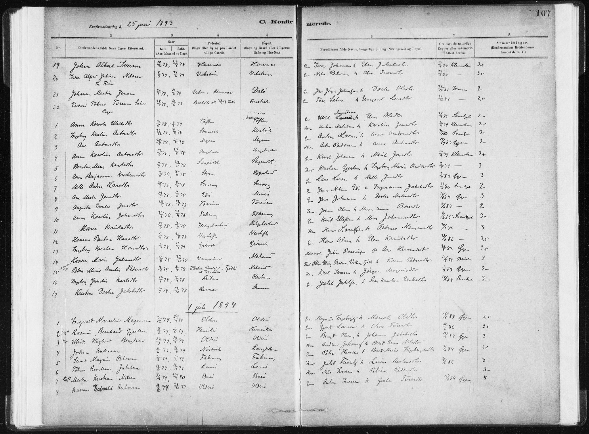Ministerialprotokoller, klokkerbøker og fødselsregistre - Sør-Trøndelag, AV/SAT-A-1456/634/L0533: Parish register (official) no. 634A09, 1882-1901, p. 107