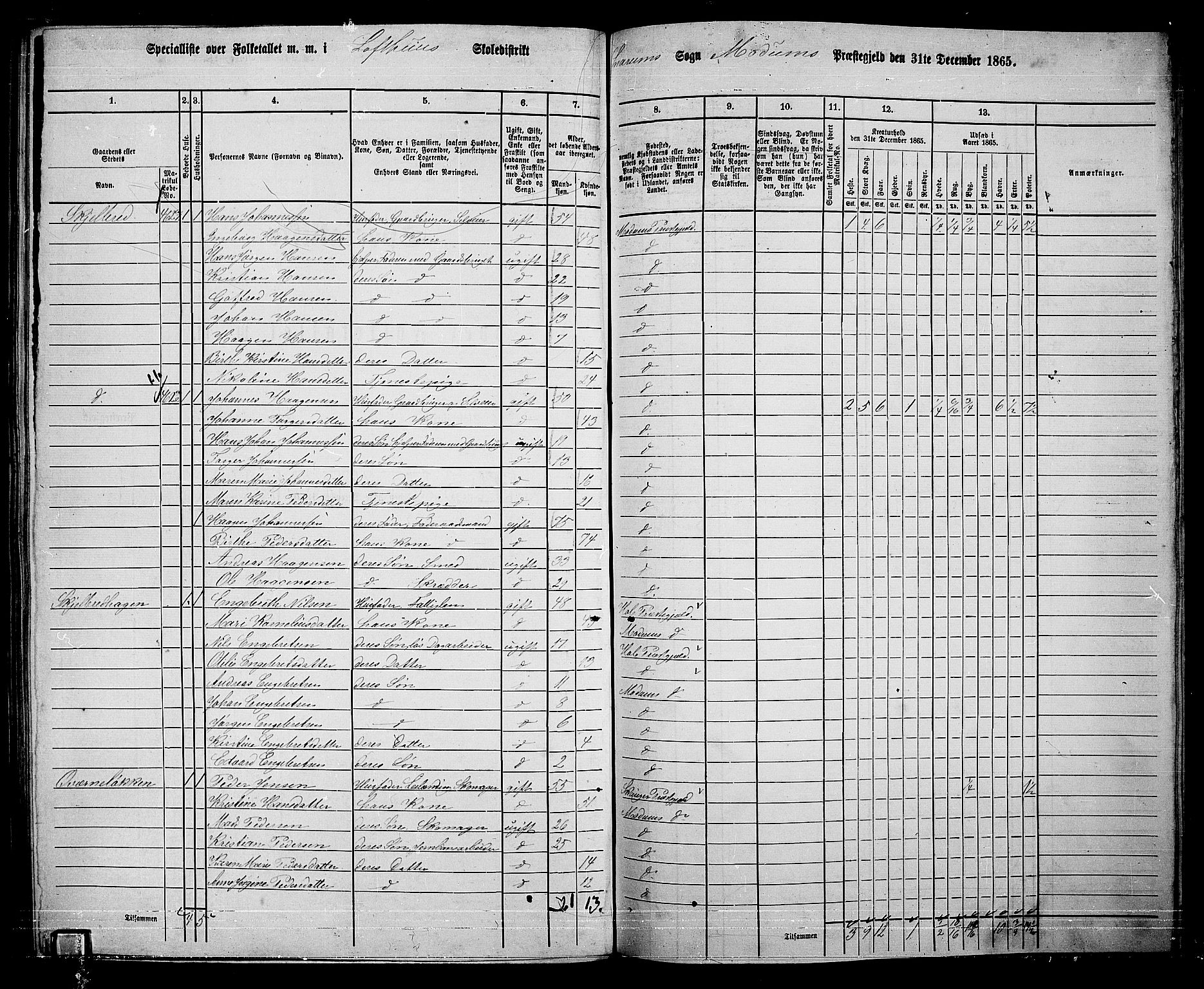 RA, 1865 census for Modum, 1865, p. 295