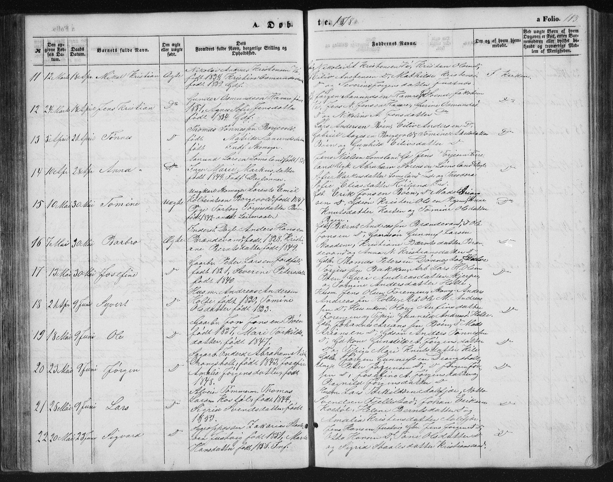 Tveit sokneprestkontor, AV/SAK-1111-0043/F/Fb/L0003: Parish register (copy) no. B 3, 1854-1886, p. 113