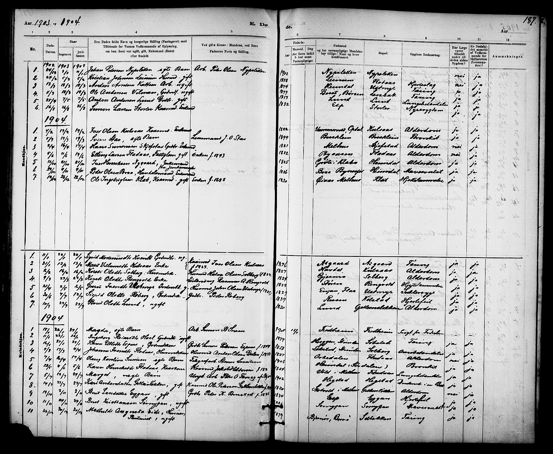 Ministerialprotokoller, klokkerbøker og fødselsregistre - Sør-Trøndelag, SAT/A-1456/613/L0395: Parish register (copy) no. 613C03, 1887-1909, p. 187