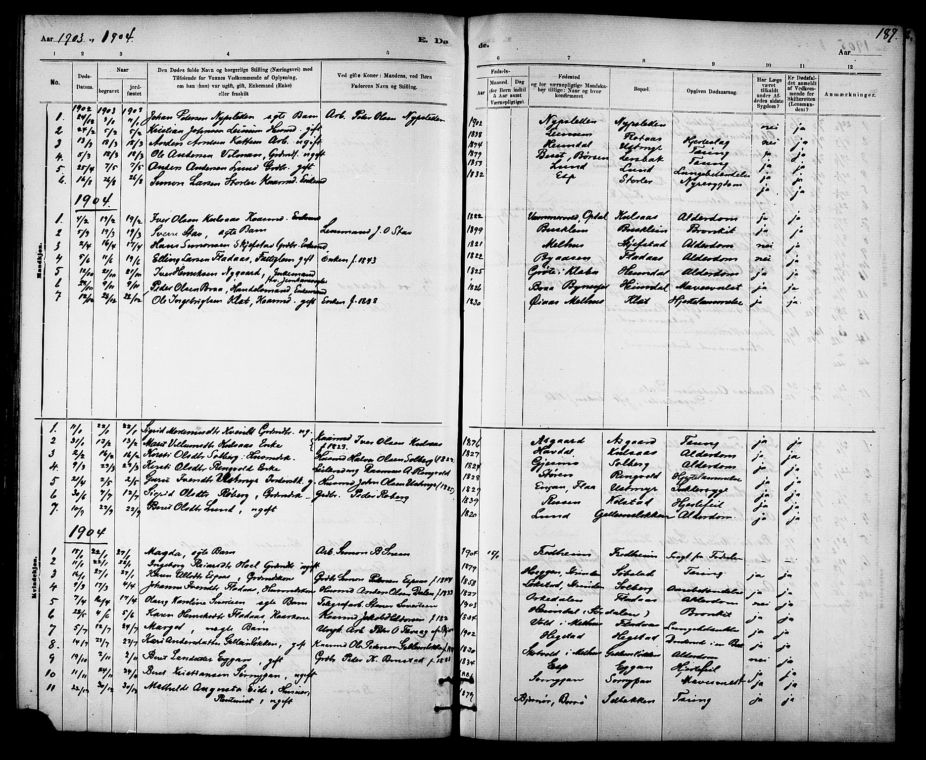 Ministerialprotokoller, klokkerbøker og fødselsregistre - Sør-Trøndelag, AV/SAT-A-1456/613/L0395: Parish register (copy) no. 613C03, 1887-1909, p. 187