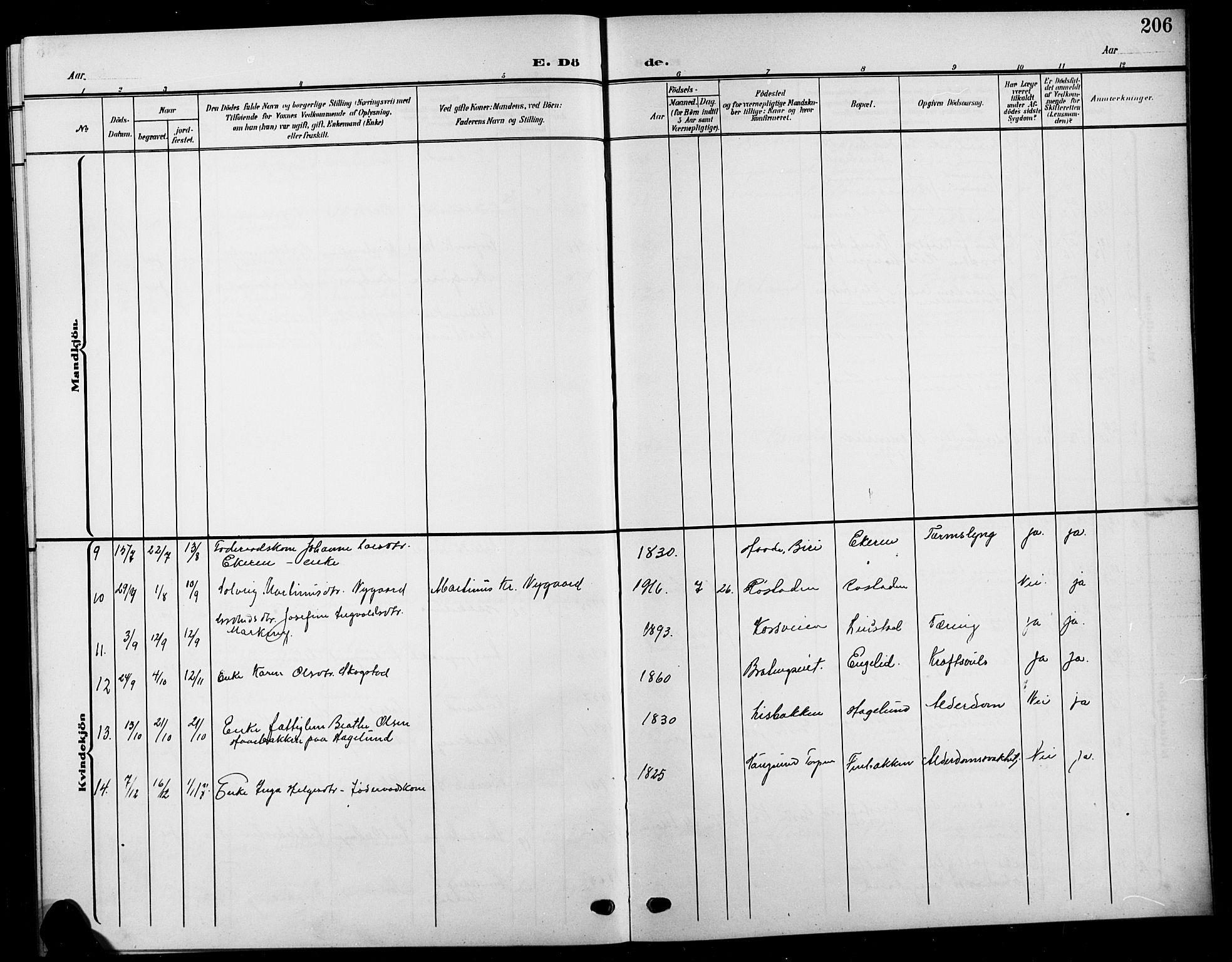 Biri prestekontor, SAH/PREST-096/H/Ha/Hab/L0005: Parish register (copy) no. 5, 1906-1919, p. 206