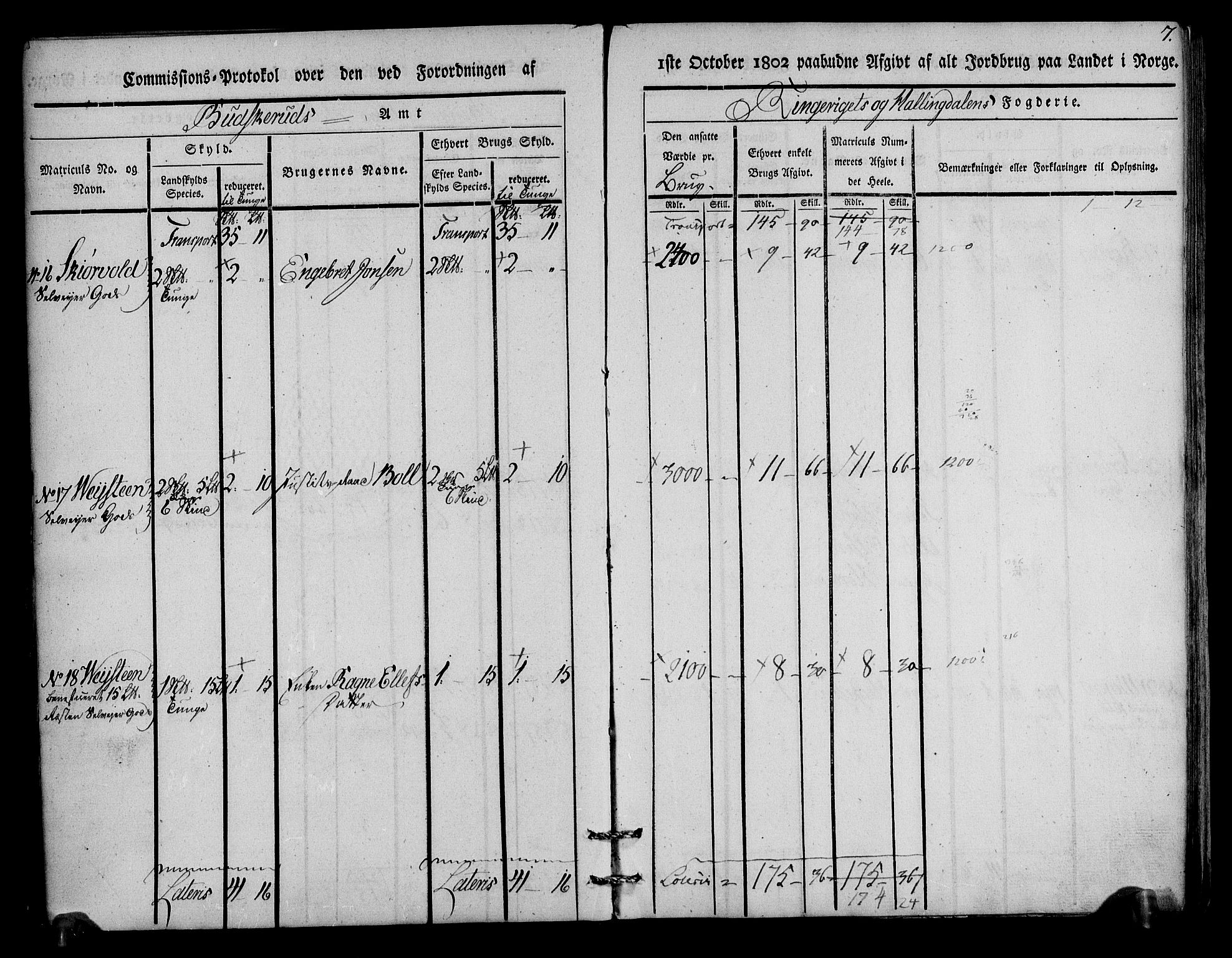 Rentekammeret inntil 1814, Realistisk ordnet avdeling, AV/RA-EA-4070/N/Ne/Nea/L0045: Ringerike og Hallingdal fogderi. Kommisjonsprotokoll for Norderhov prestegjeld, 1803, p. 8