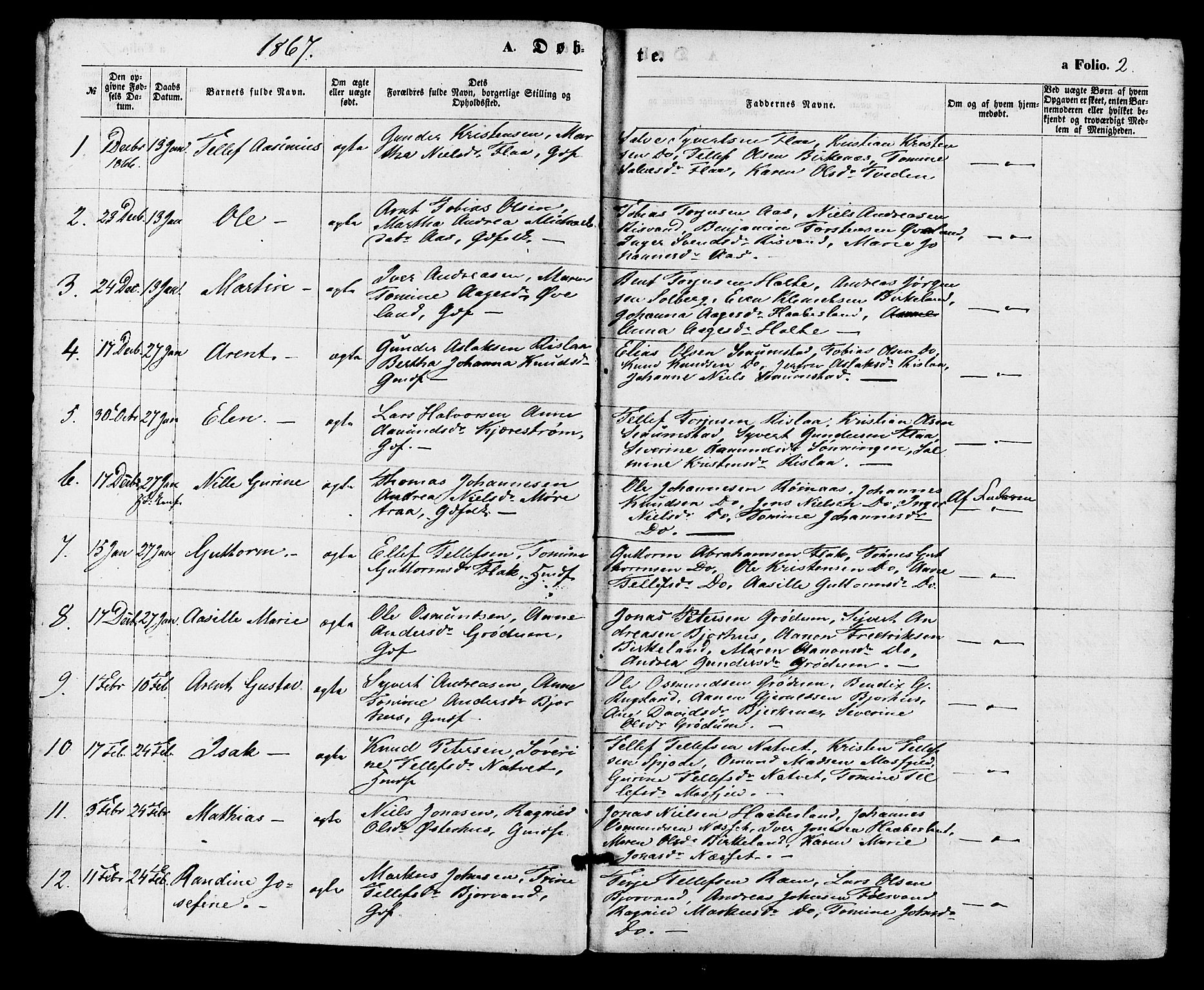 Birkenes sokneprestkontor, SAK/1111-0004/F/Fa/L0004: Parish register (official) no. A 4, 1867-1886, p. 2