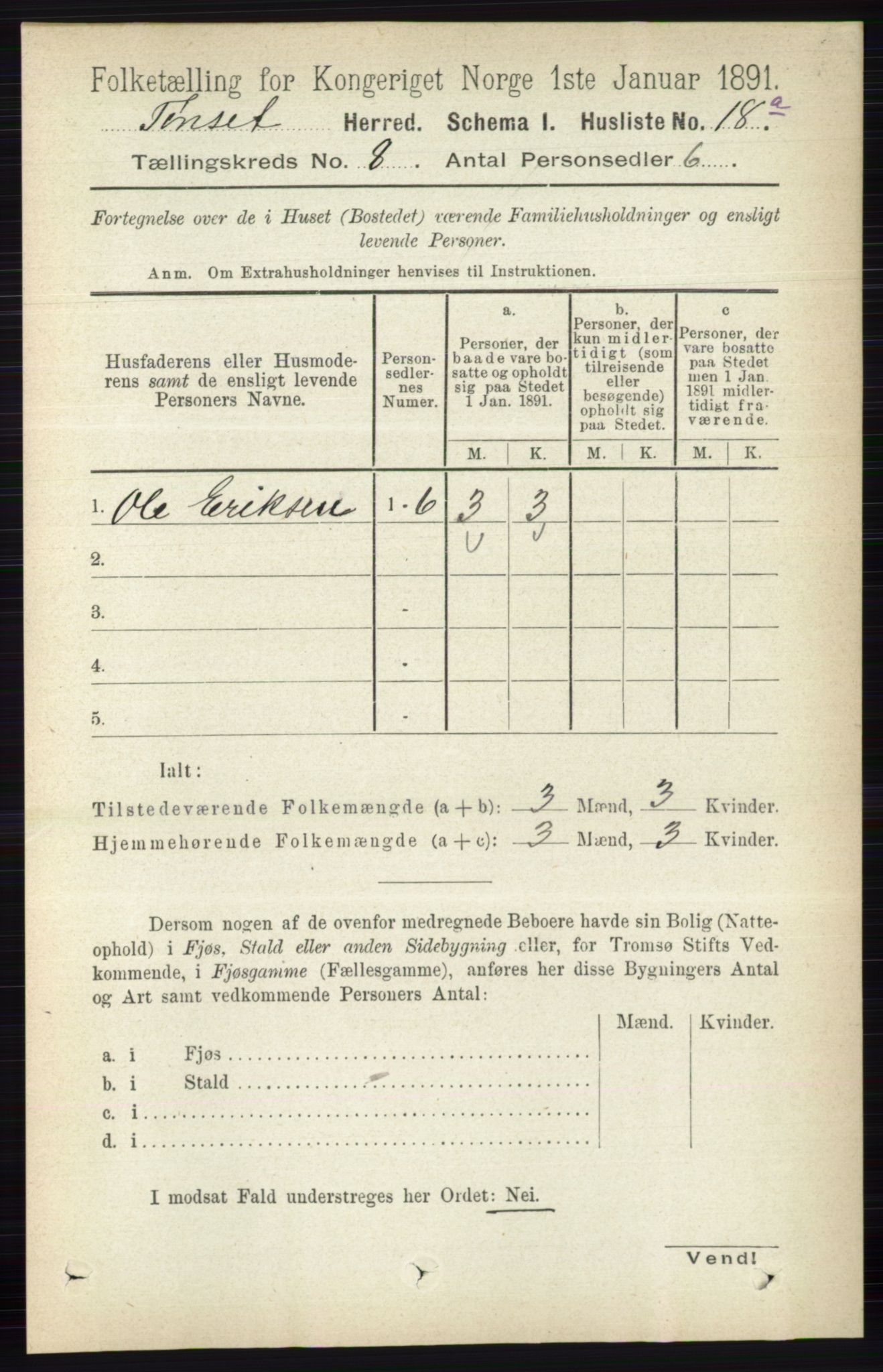 RA, 1891 census for 0437 Tynset, 1891, p. 2051